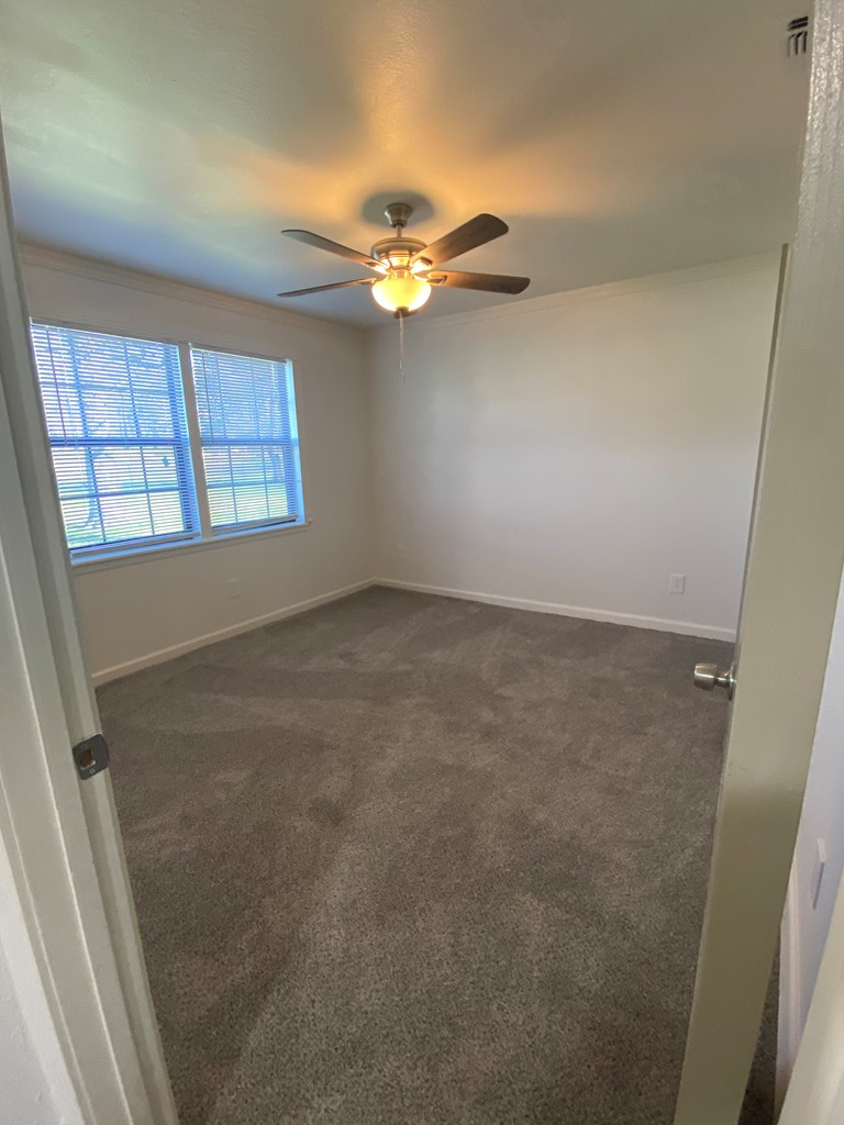 8243 Fm 1669 Property Photo 35