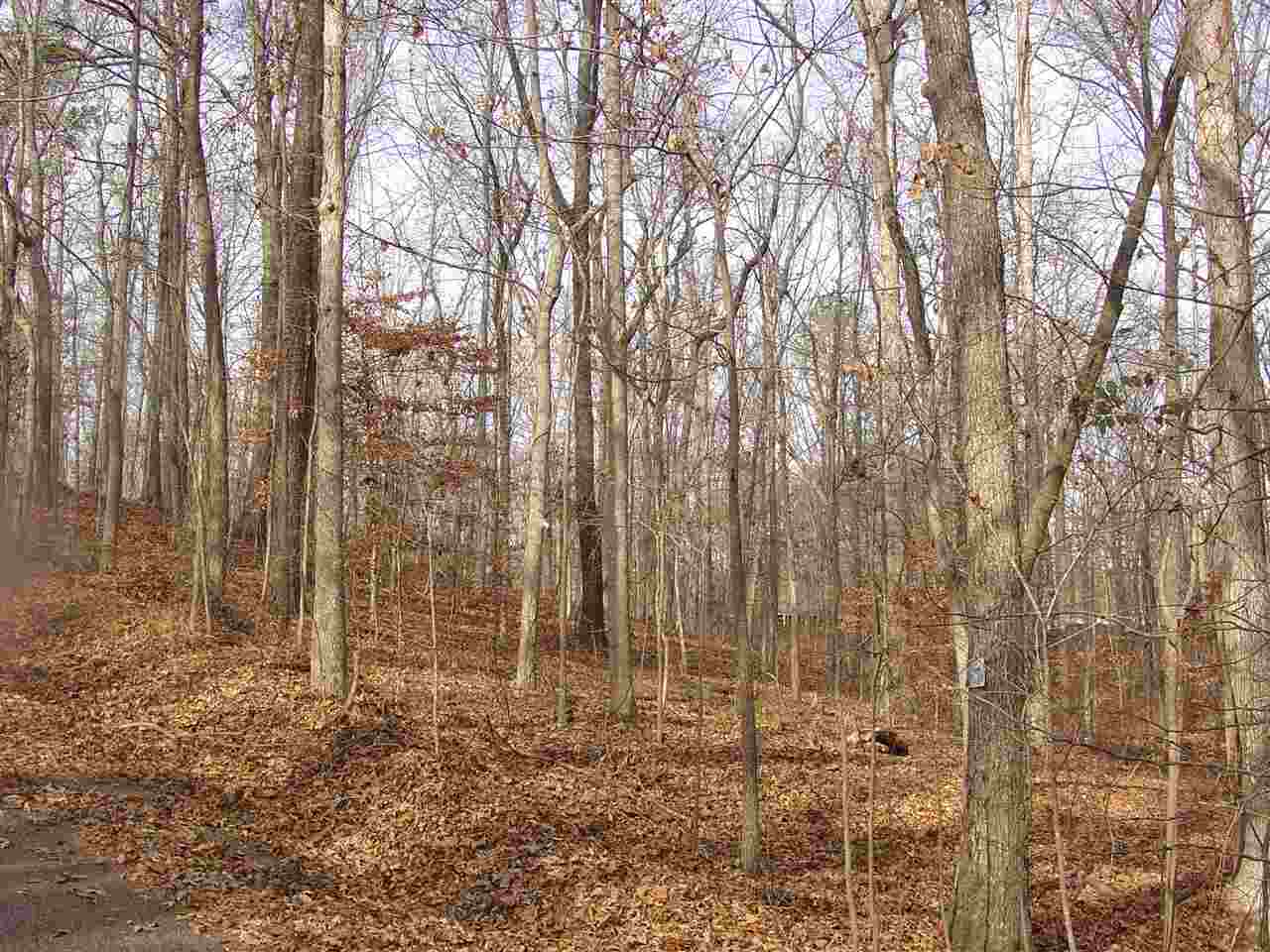 Ymca S Muscatel & Ymca Ln Property Photo 3