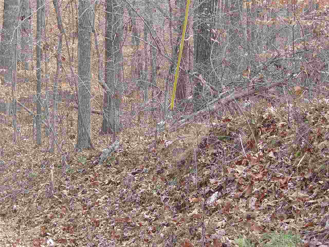 Ymca S Muscatel & Ymca Ln Property Photo 5