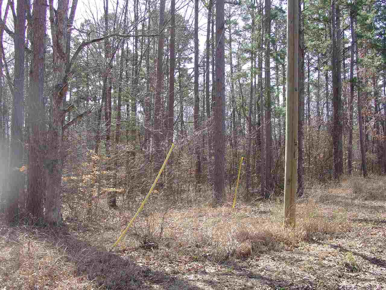 Ymca S Muscatel & Ymca Ln Property Photo 7