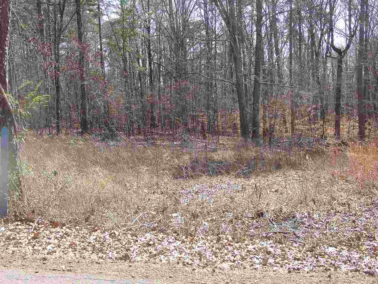 Ymca S Muscatel & Ymca Ln Property Photo 9