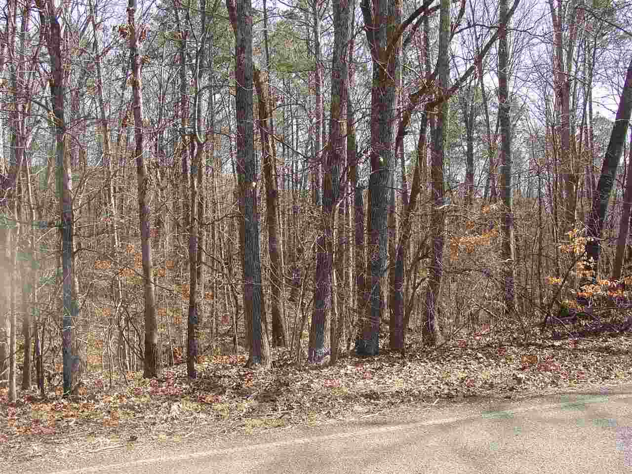 Ymca S Muscatel & Ymca Ln Property Photo 10