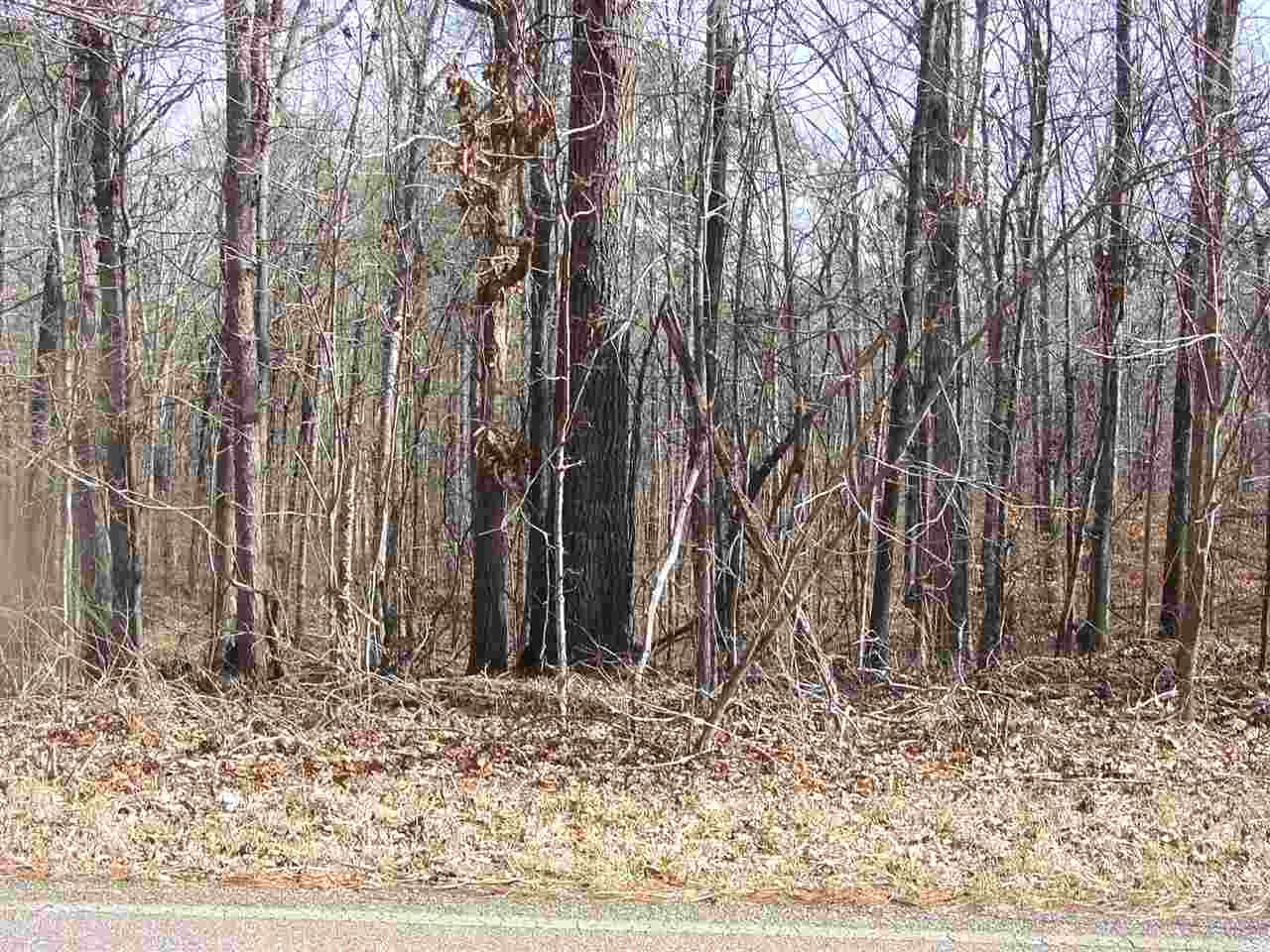 Ymca S Muscatel & Ymca Ln Property Photo 12