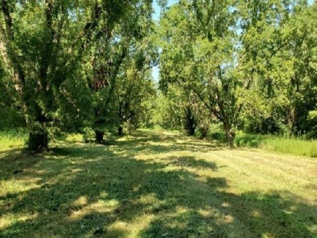 398 Tappah St. Ct Property Photo 5