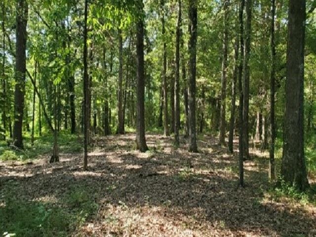 398 Tappah St. Ct Property Photo 7