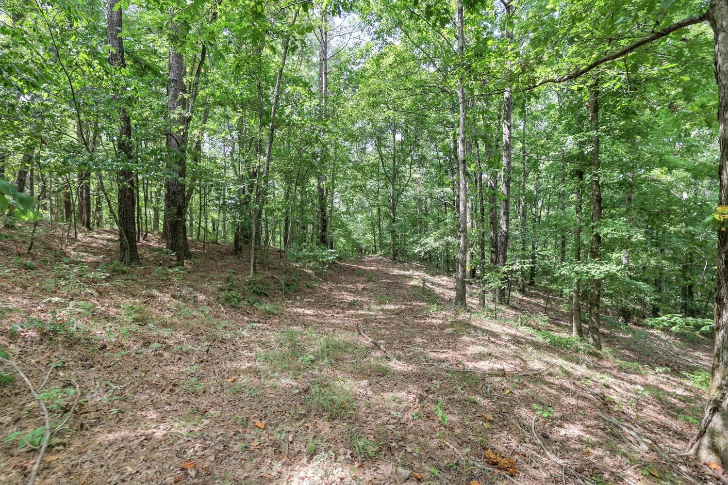 208 Kro Hollow Rd Rd Property Photo 11