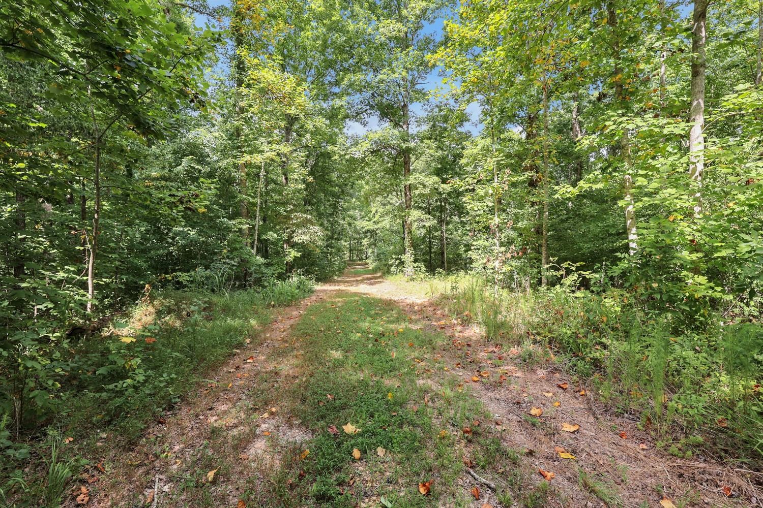 208 Kro Hollow Rd Rd Property Photo 12