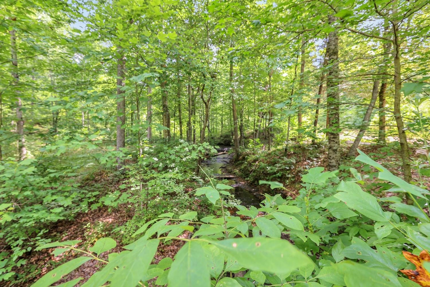 208 Kro Hollow Rd Rd Property Photo 15