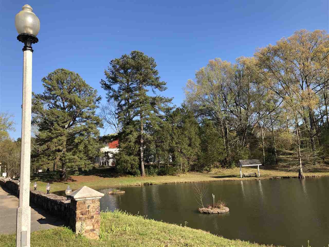 Lot 4 Echo Lake Ln Property Photo 7