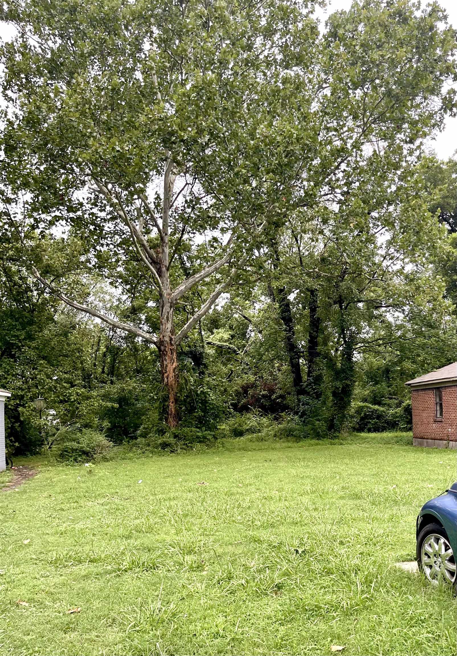 1495 N Trezevant St Property Photo 2