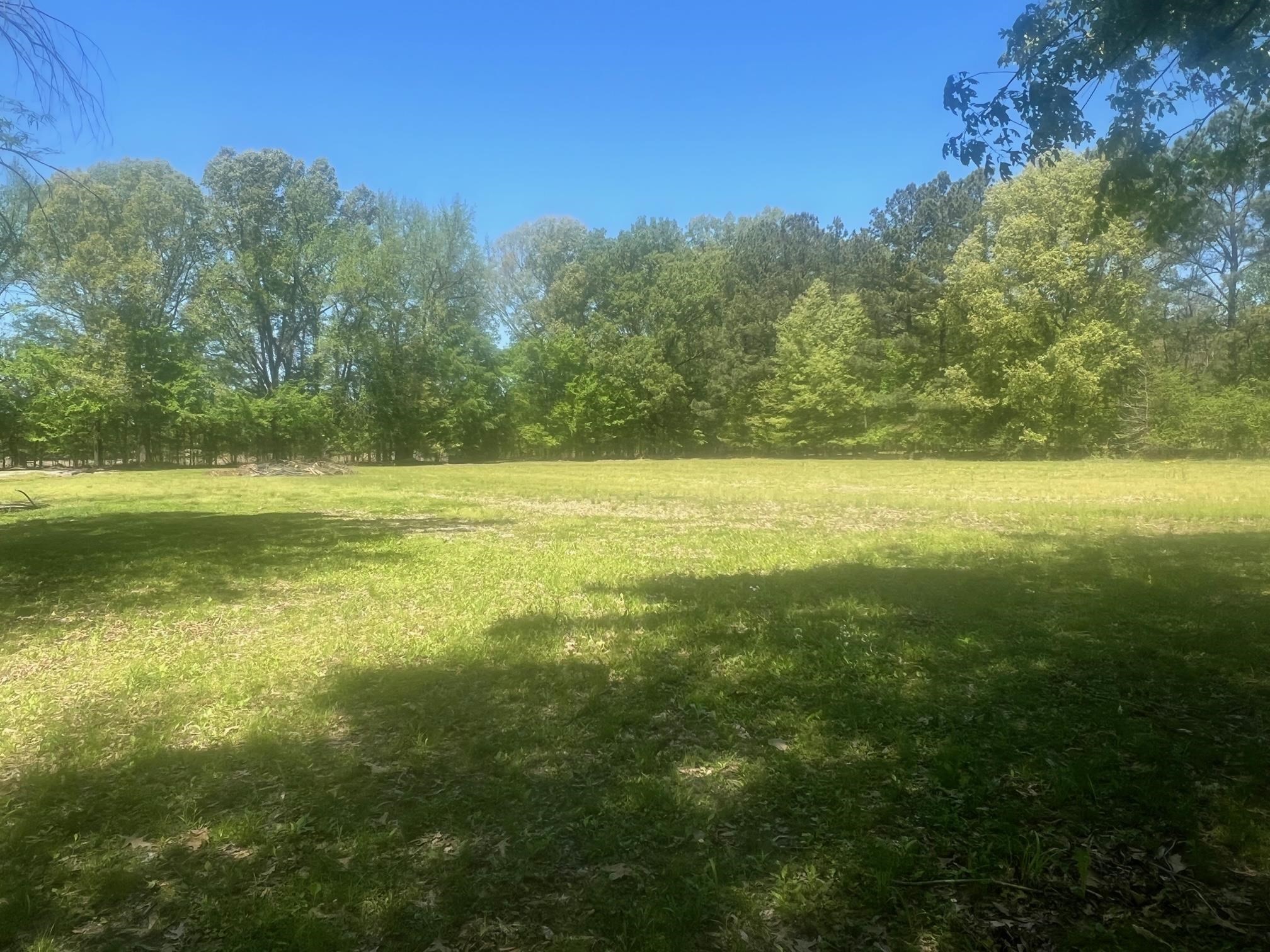 27 Acres Sycamore Rd Property Photo 4