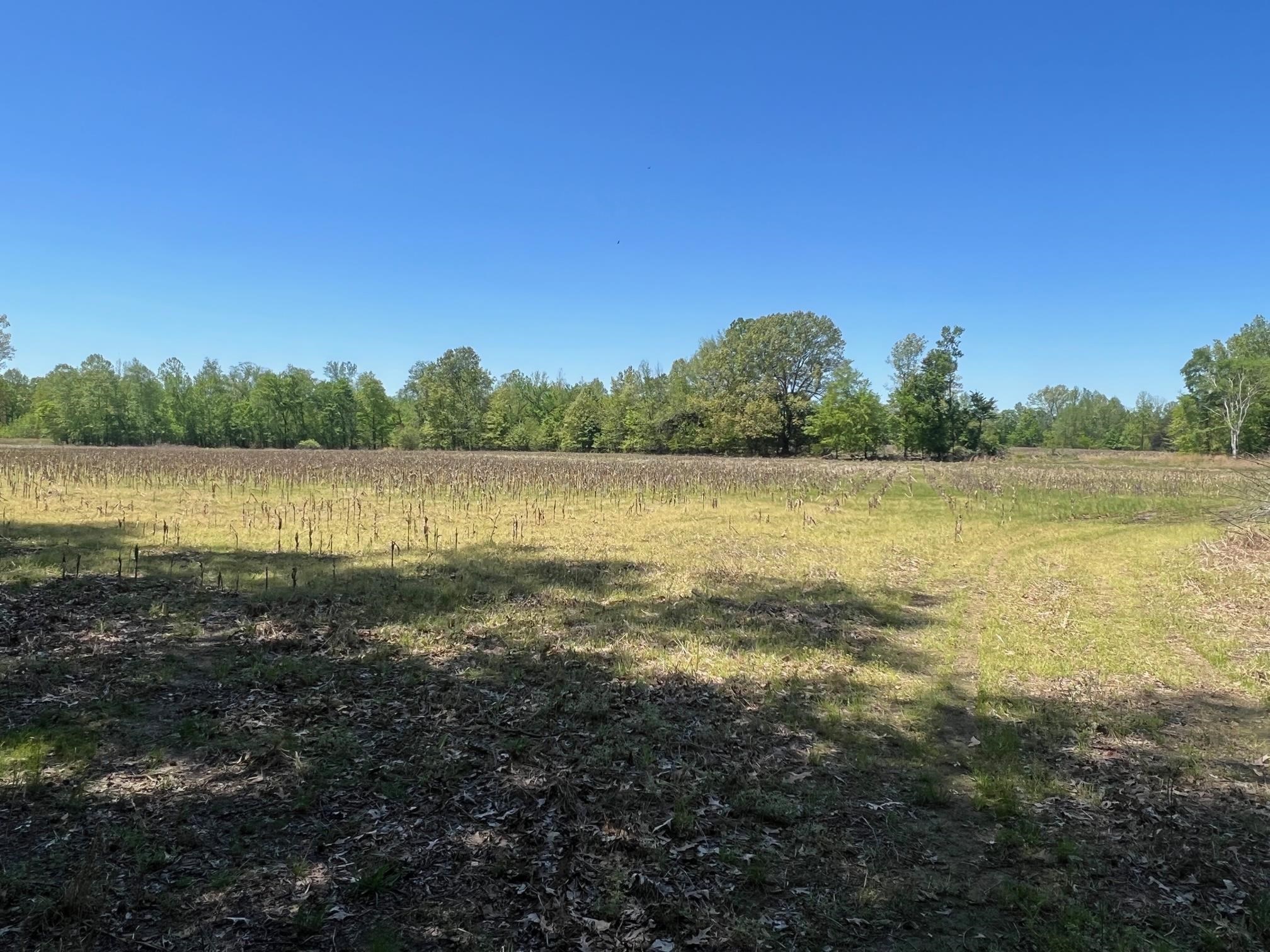 27 Acres Sycamore Rd Property Photo 6
