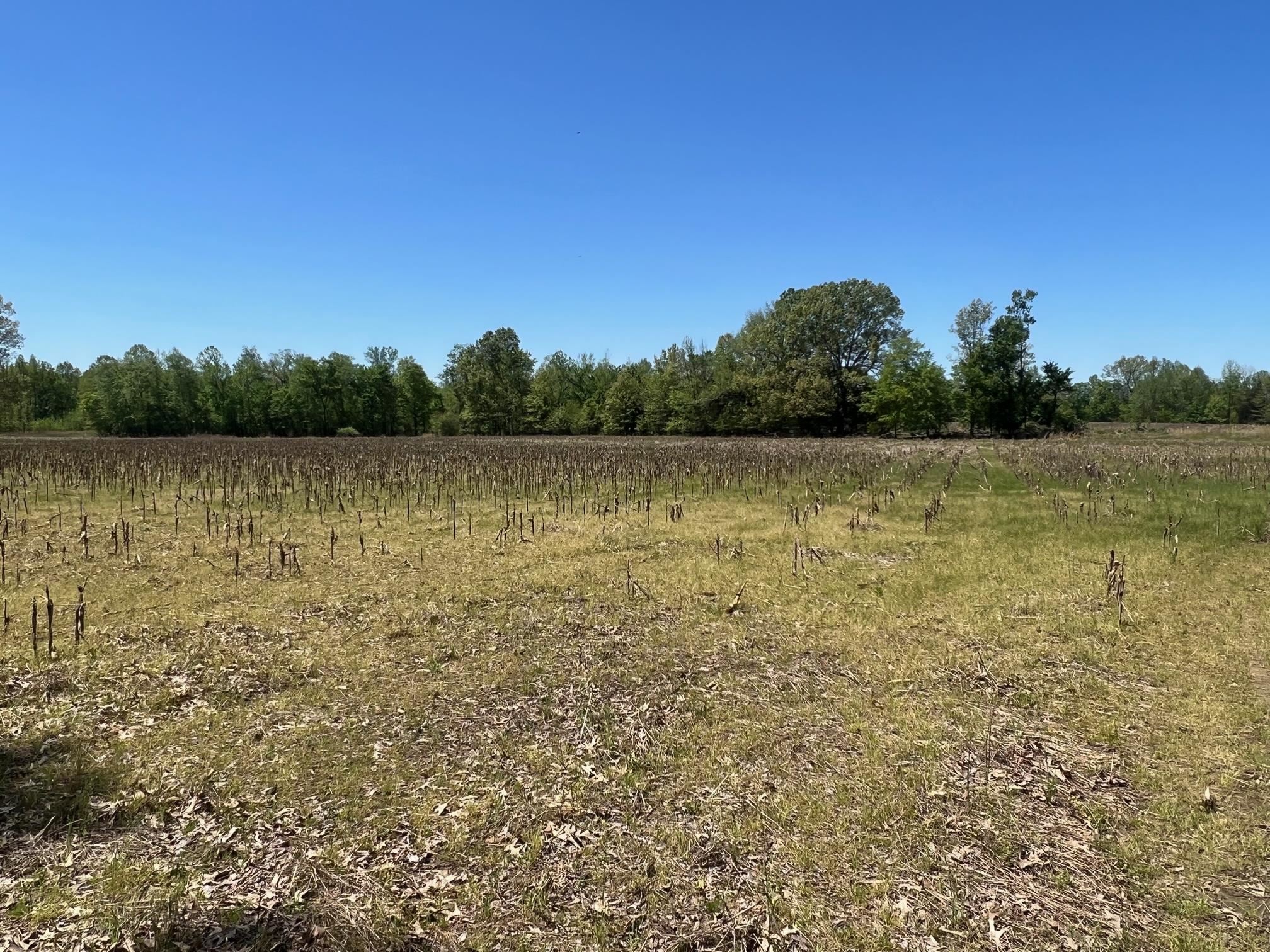 27 Acres Sycamore Rd Property Photo 7