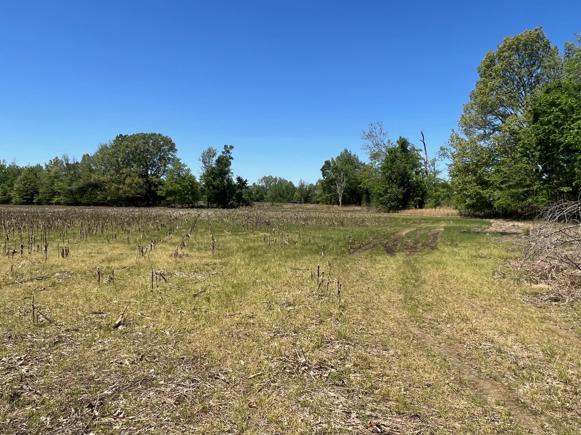 27 Acres Sycamore Rd Property Photo 9