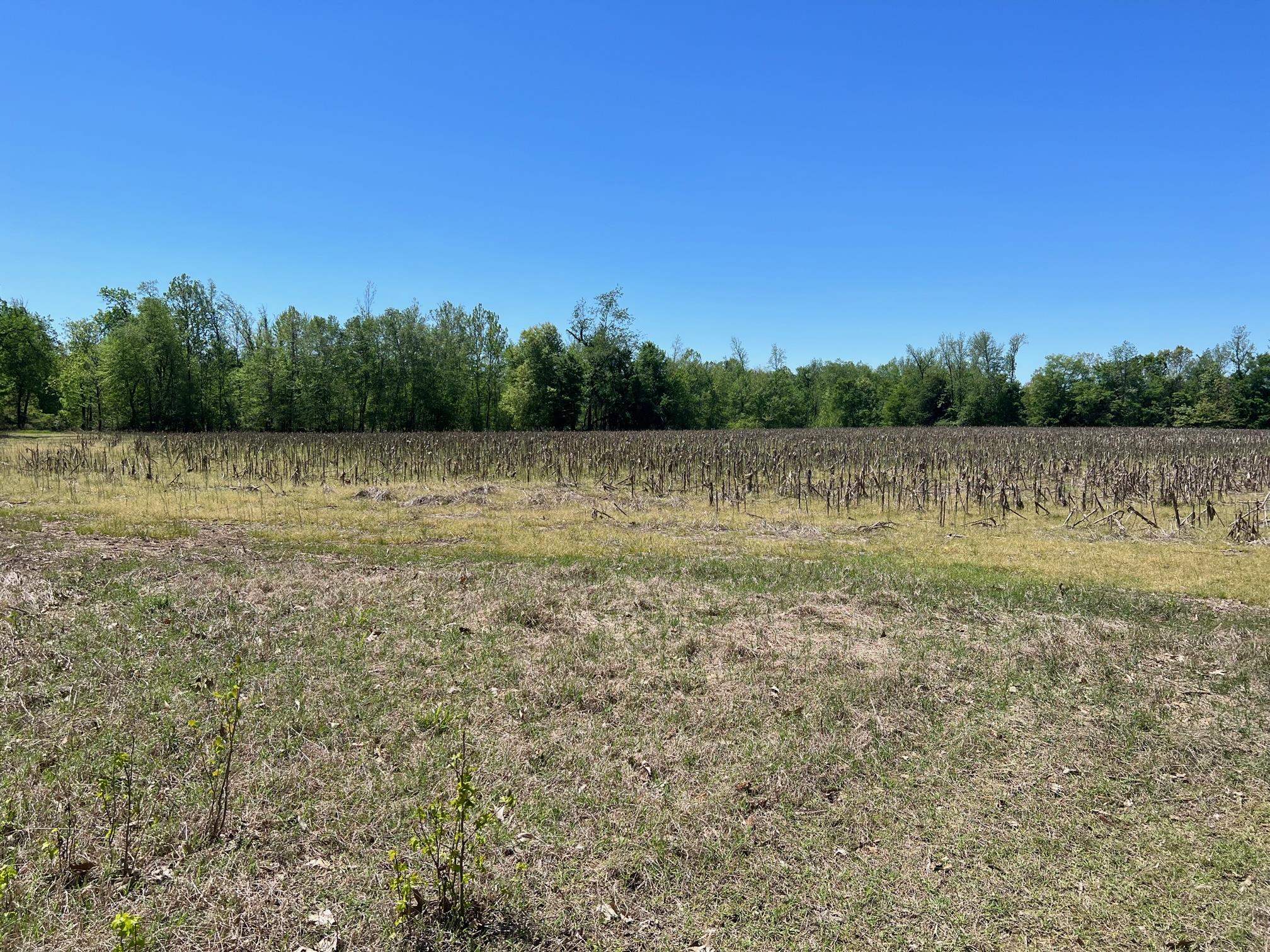 27 Acres Sycamore Rd Property Photo 10