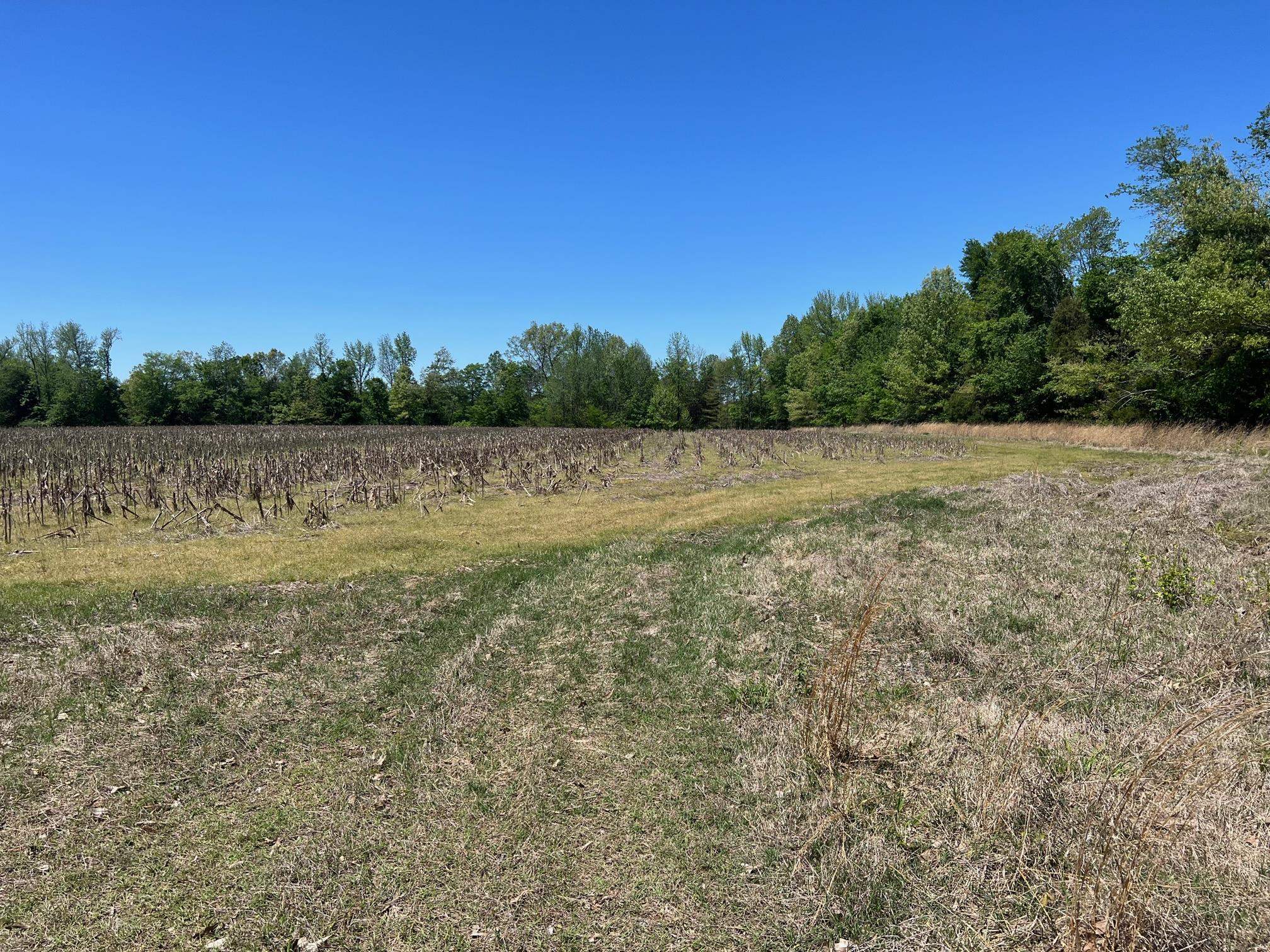 27 Acres Sycamore Rd Property Photo 11