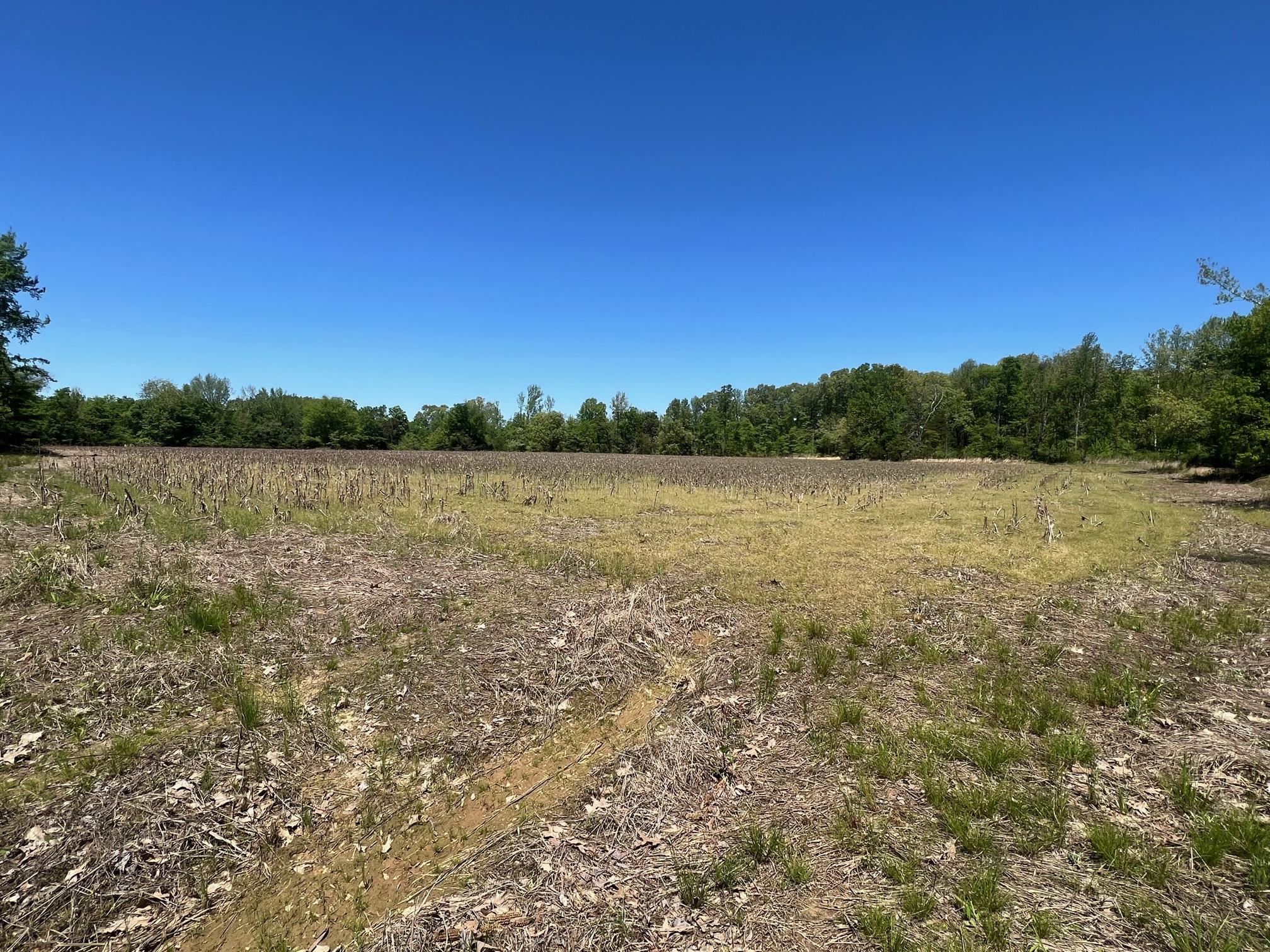 27 Acres Sycamore Rd Property Photo 12