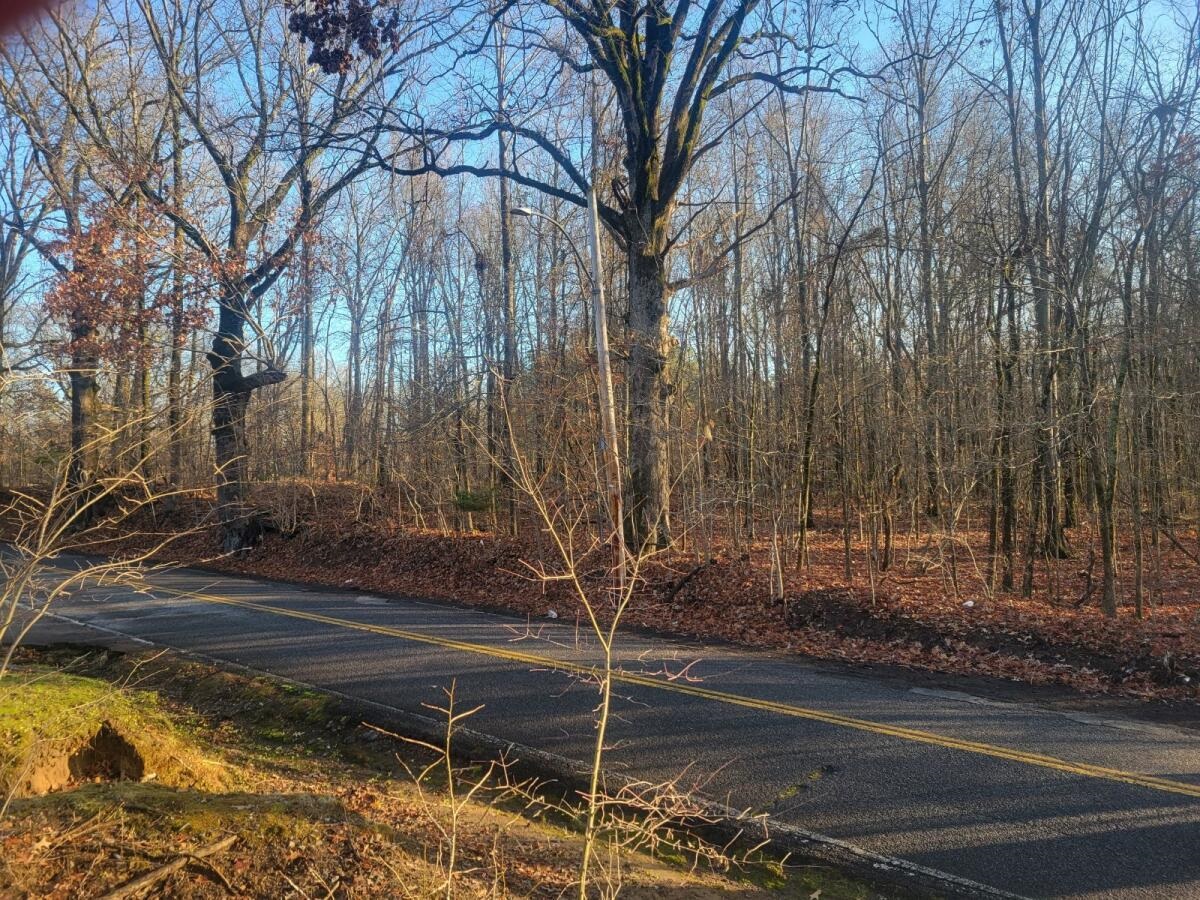 0 Old Allen Rd Property Photo 2