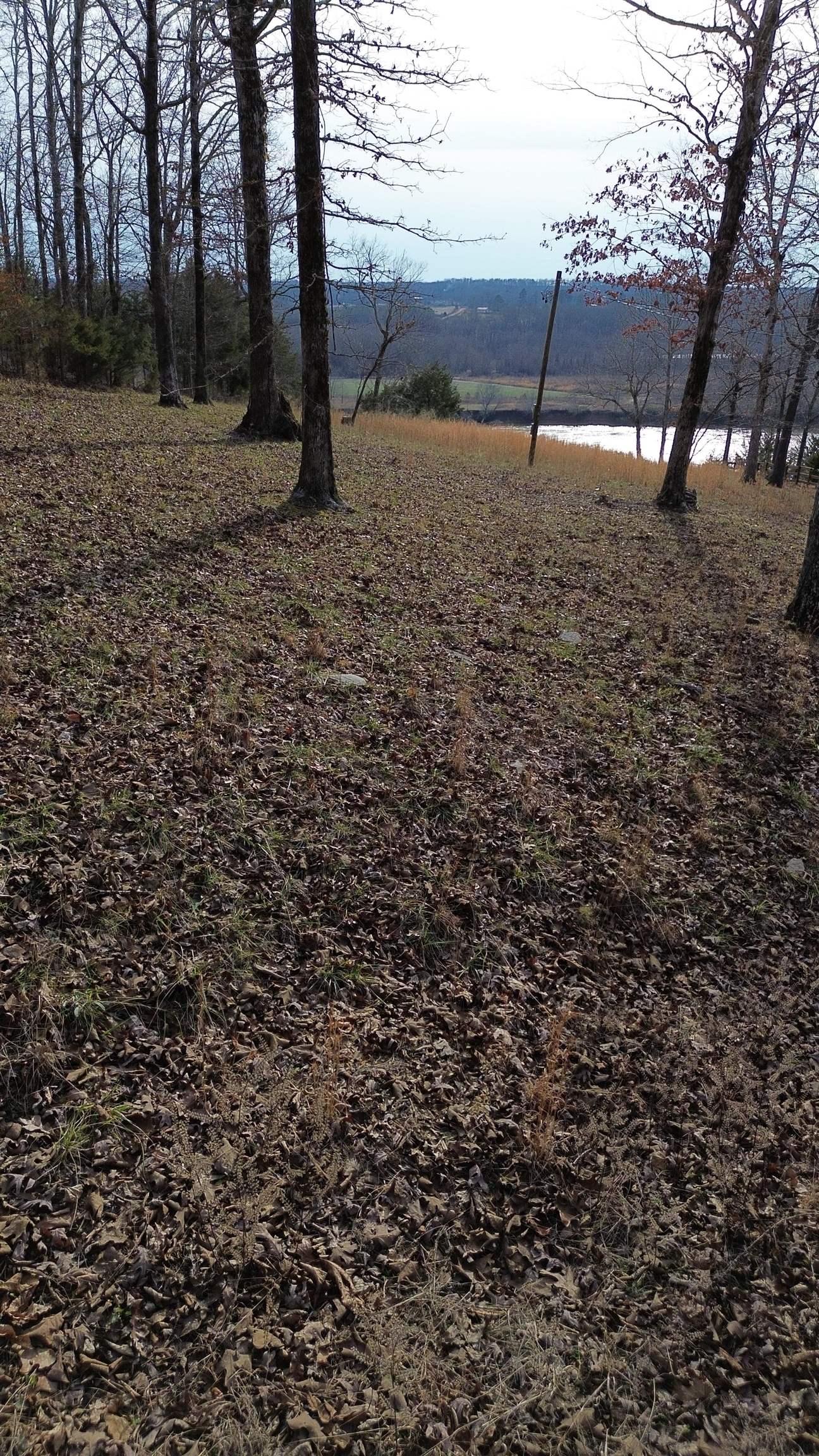 763 Purdy View Acres Dr Lot 2 Property Photo 4