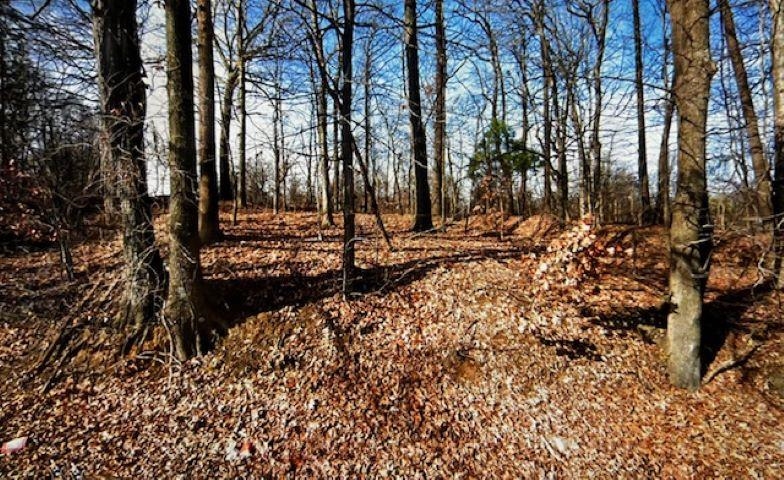 3273 S GILL RD Property Photo 1