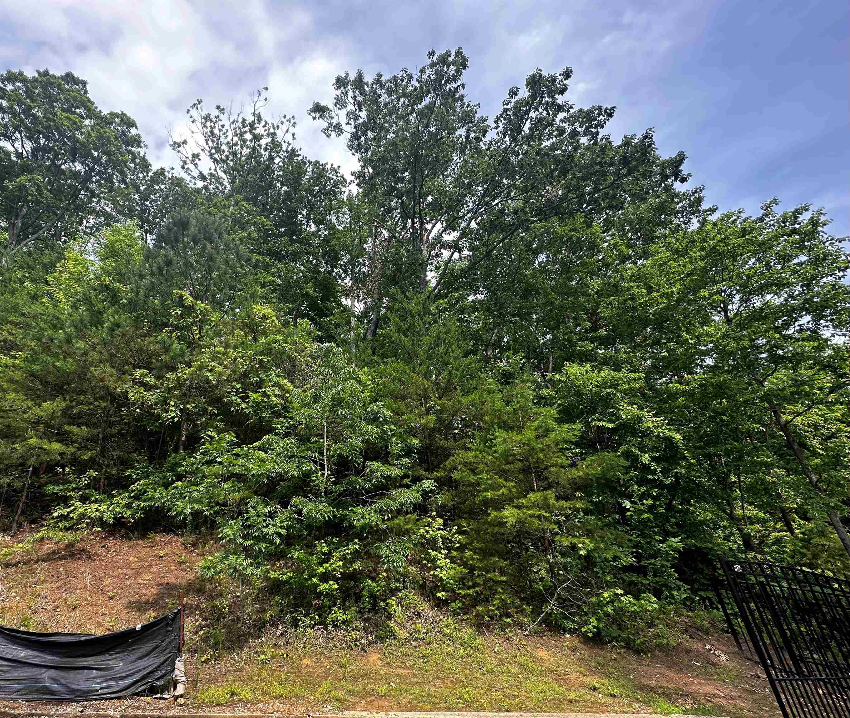 Lot 40 High Pointe Dr Property Photo 2