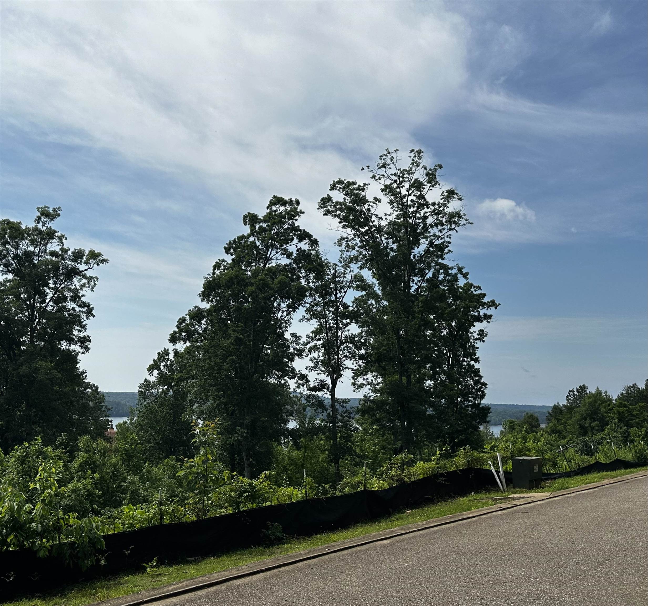 Lot 40 High Pointe Dr Property Photo 3