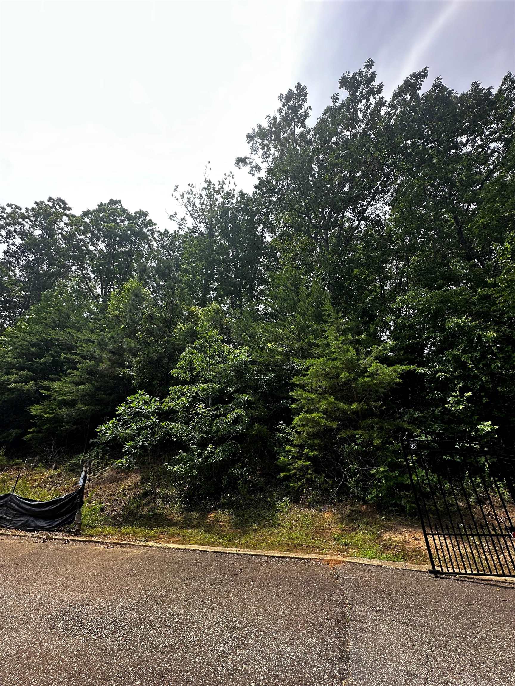 Lot 40 High Pointe Dr Property Photo 4