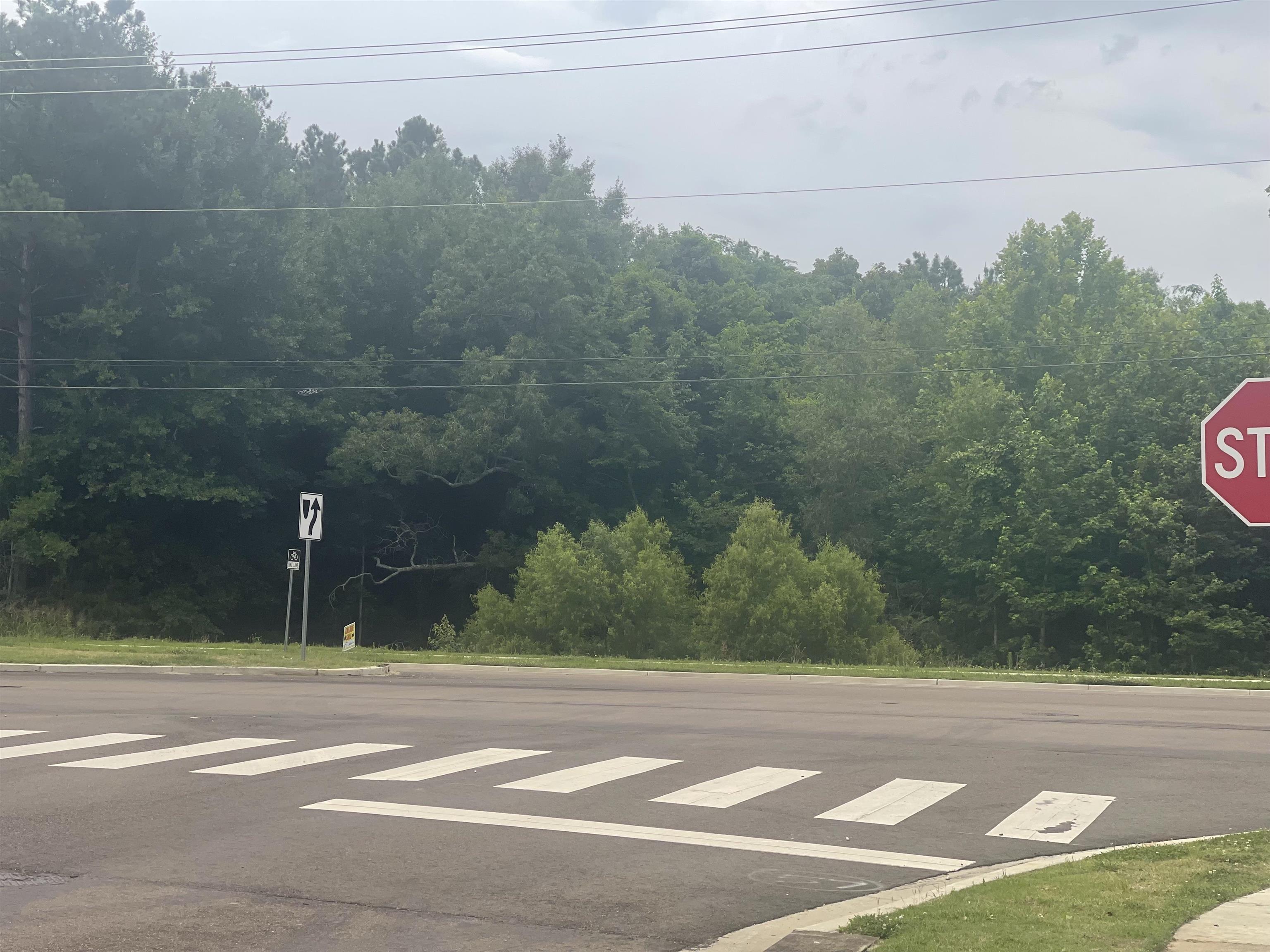Old Brownsville Rd Property Photo 10