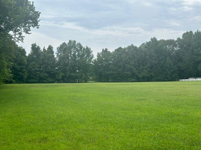 360 Lexington Manor Dr Property Photo 6
