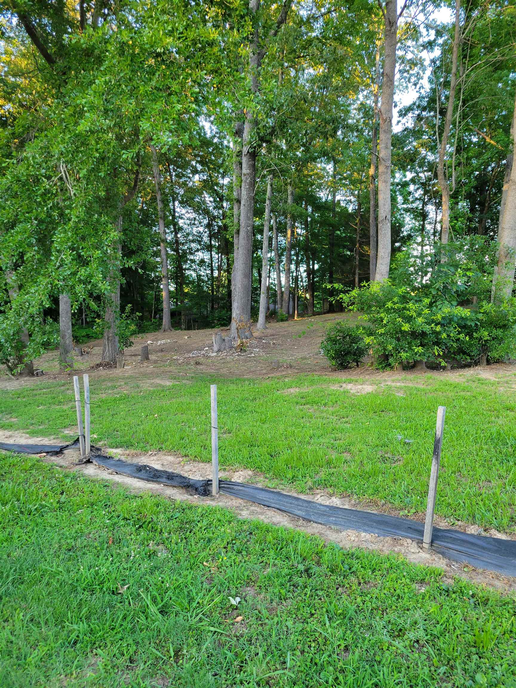 9208 Beaver Valley Ln Property Photo 5