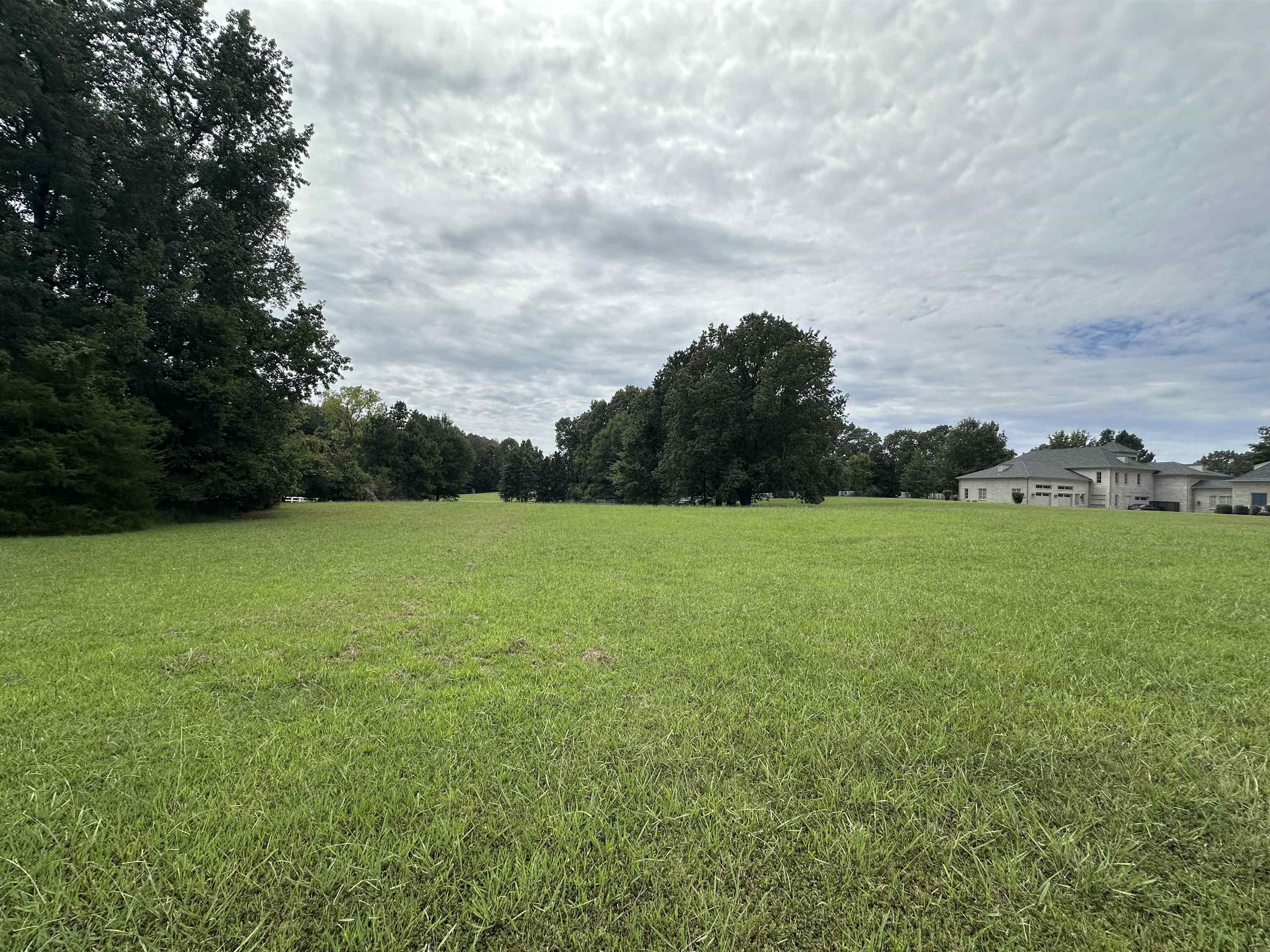 530 Lexington Manor Ln Lot 29 Property Photo 3