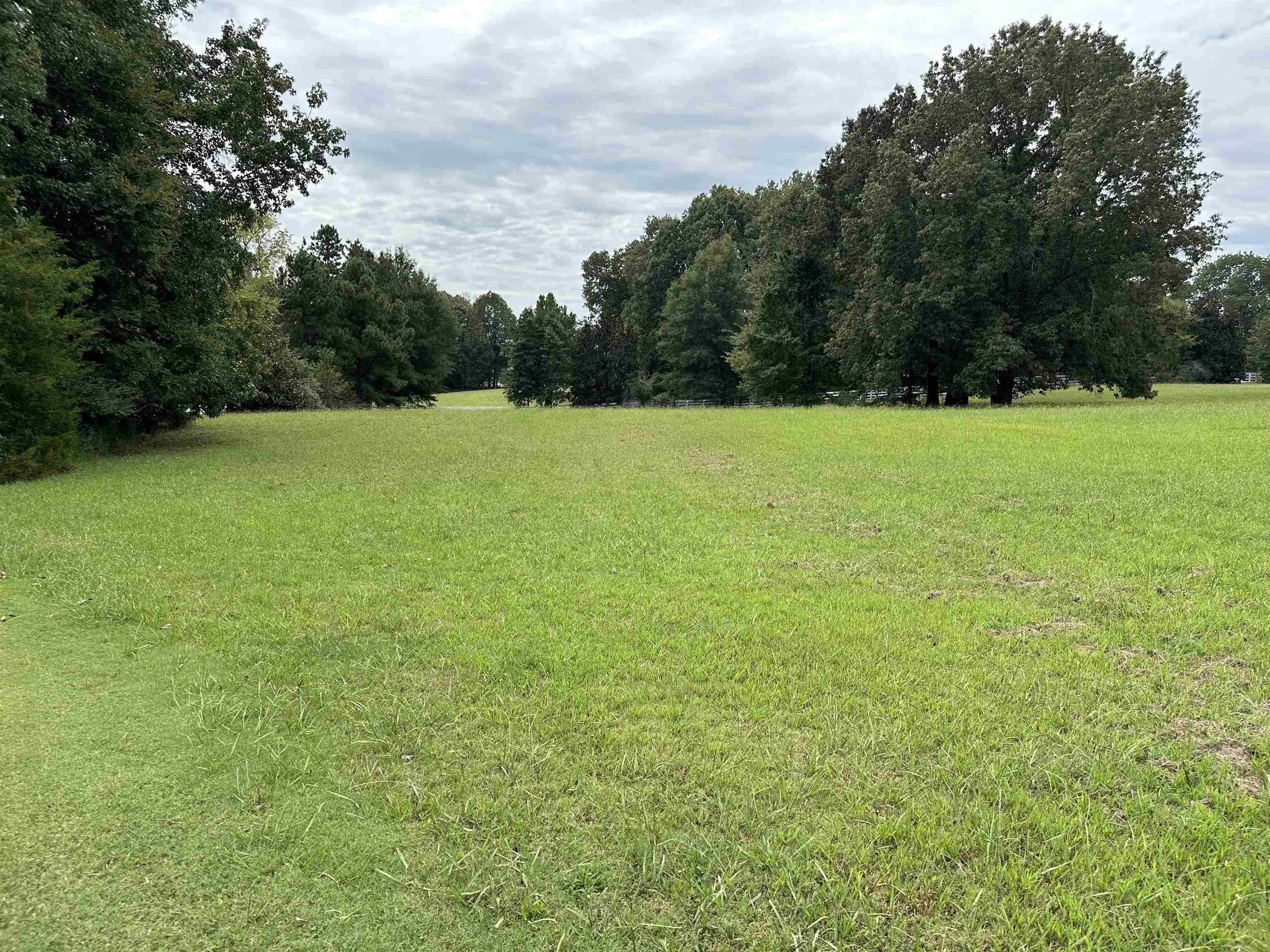 530 Lexington Manor Ln Lot 29 Property Photo 4