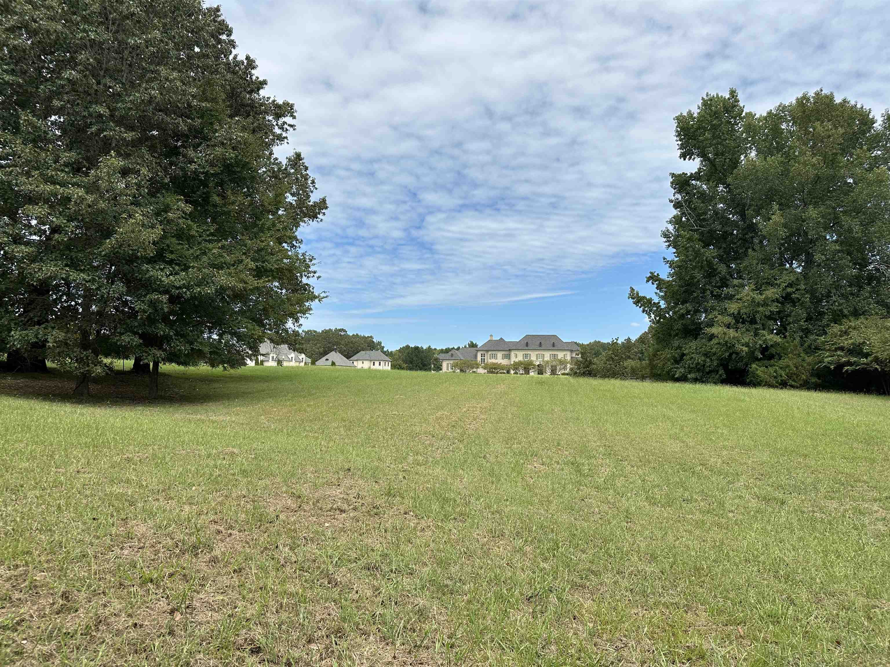 530 Lexington Manor Ln Lot 29 Property Photo 6