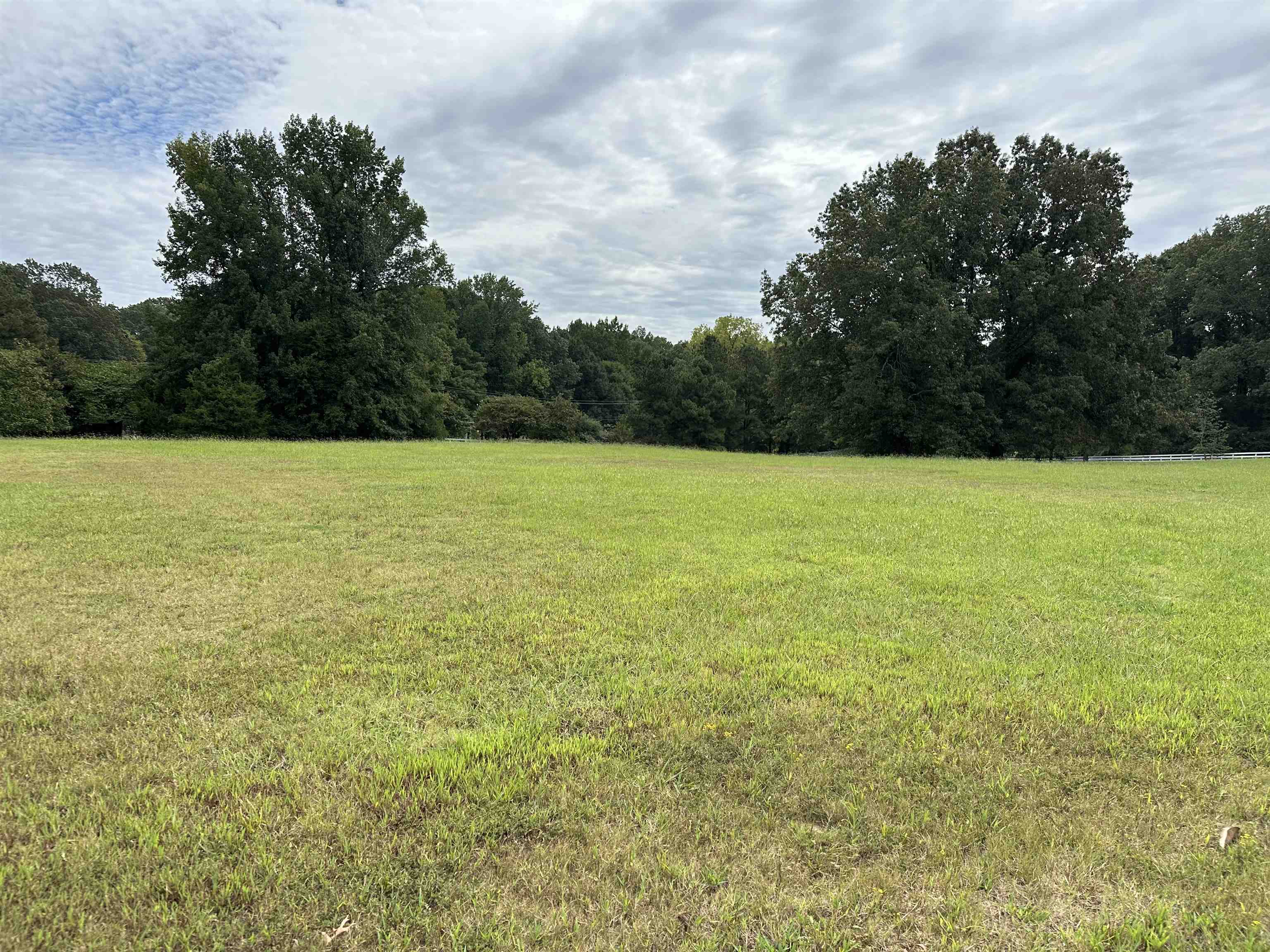 530 Lexington Manor Ln Lot 29 Property Photo 7
