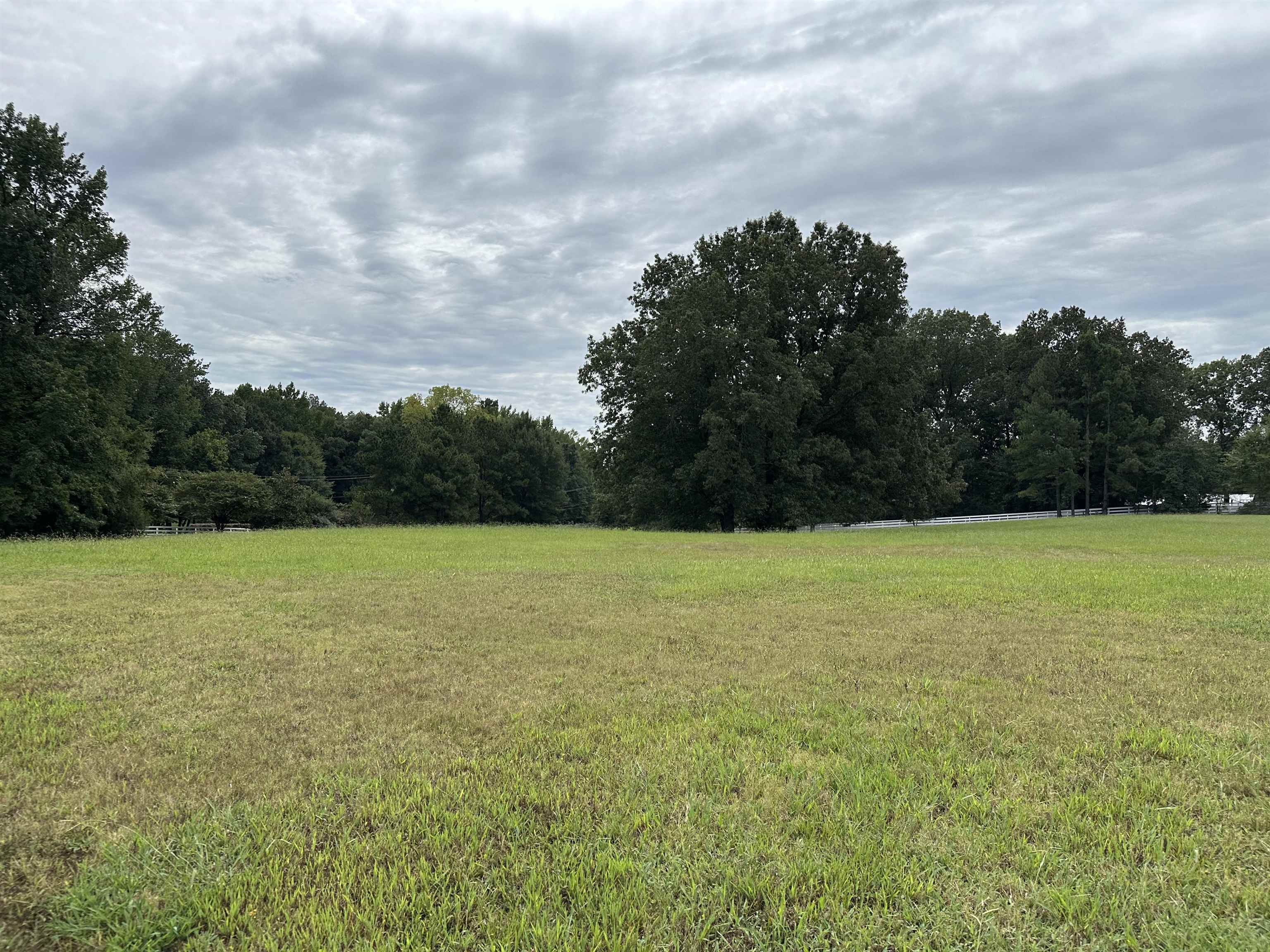 530 Lexington Manor Ln Lot 29 Property Photo 8