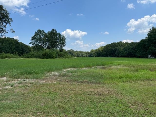 Meadow Oaks Ln Property Photo 6