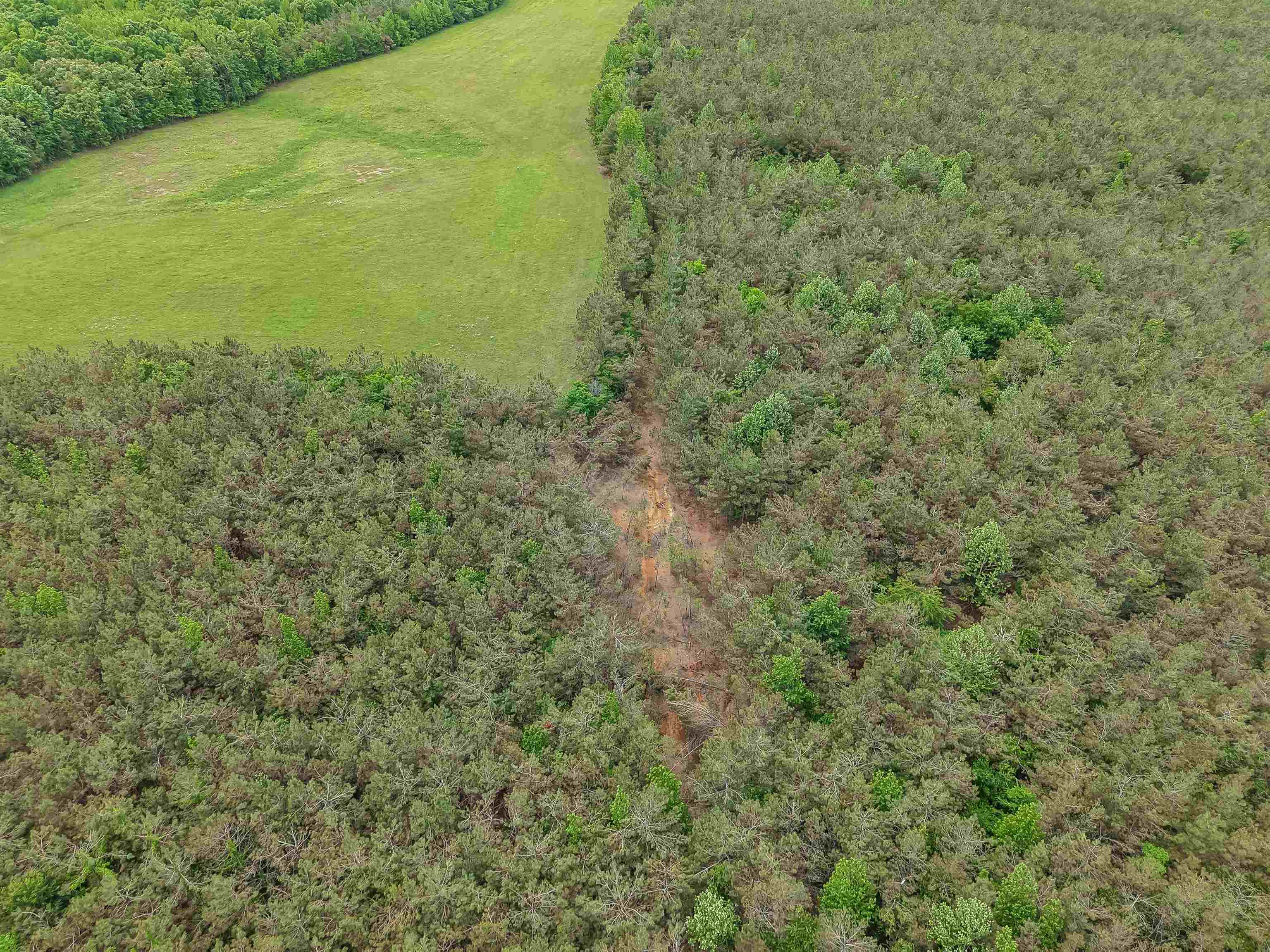 Connie Smith Rd Property Photo 5