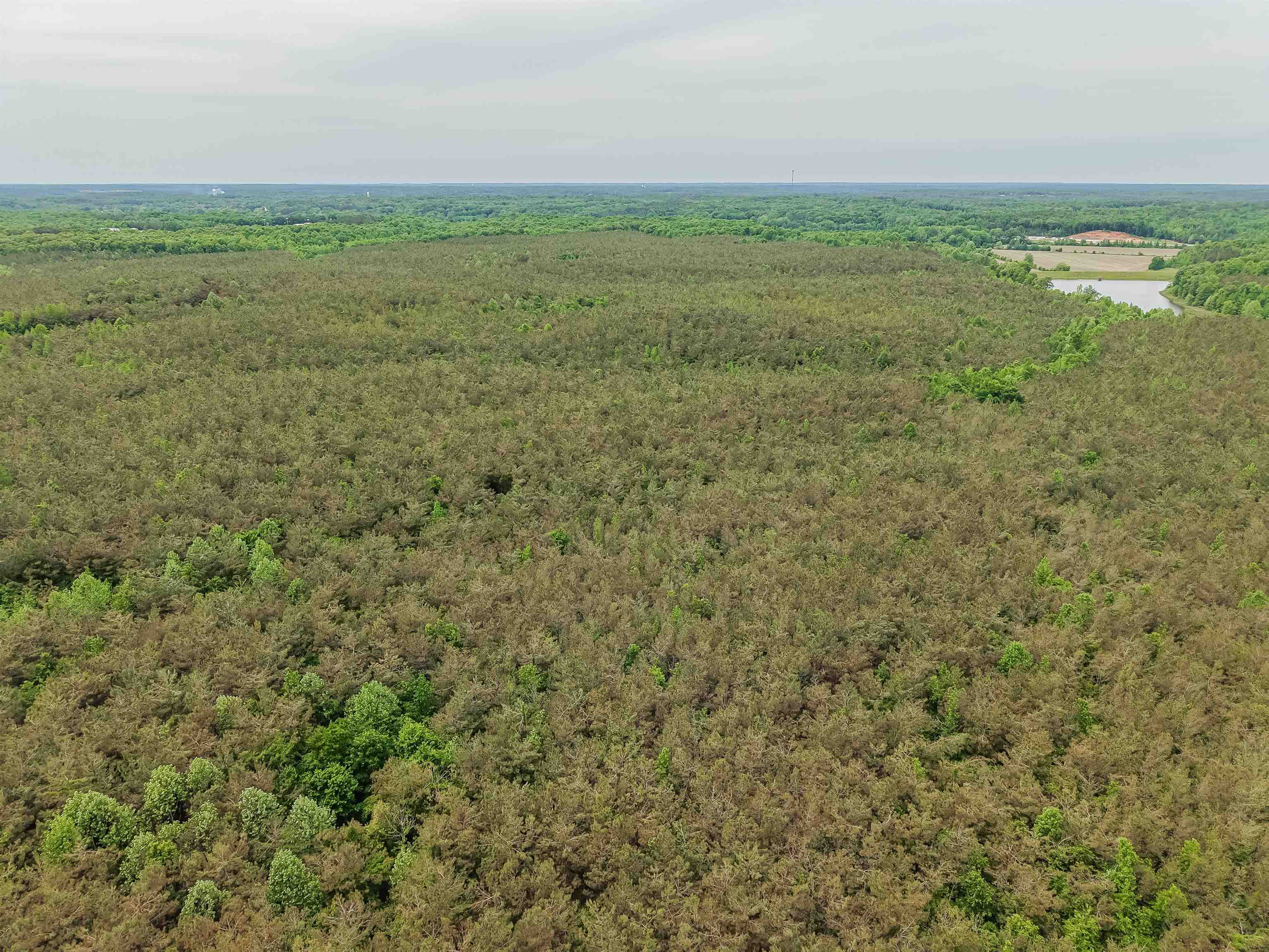 Connie Smith Rd Property Photo 6