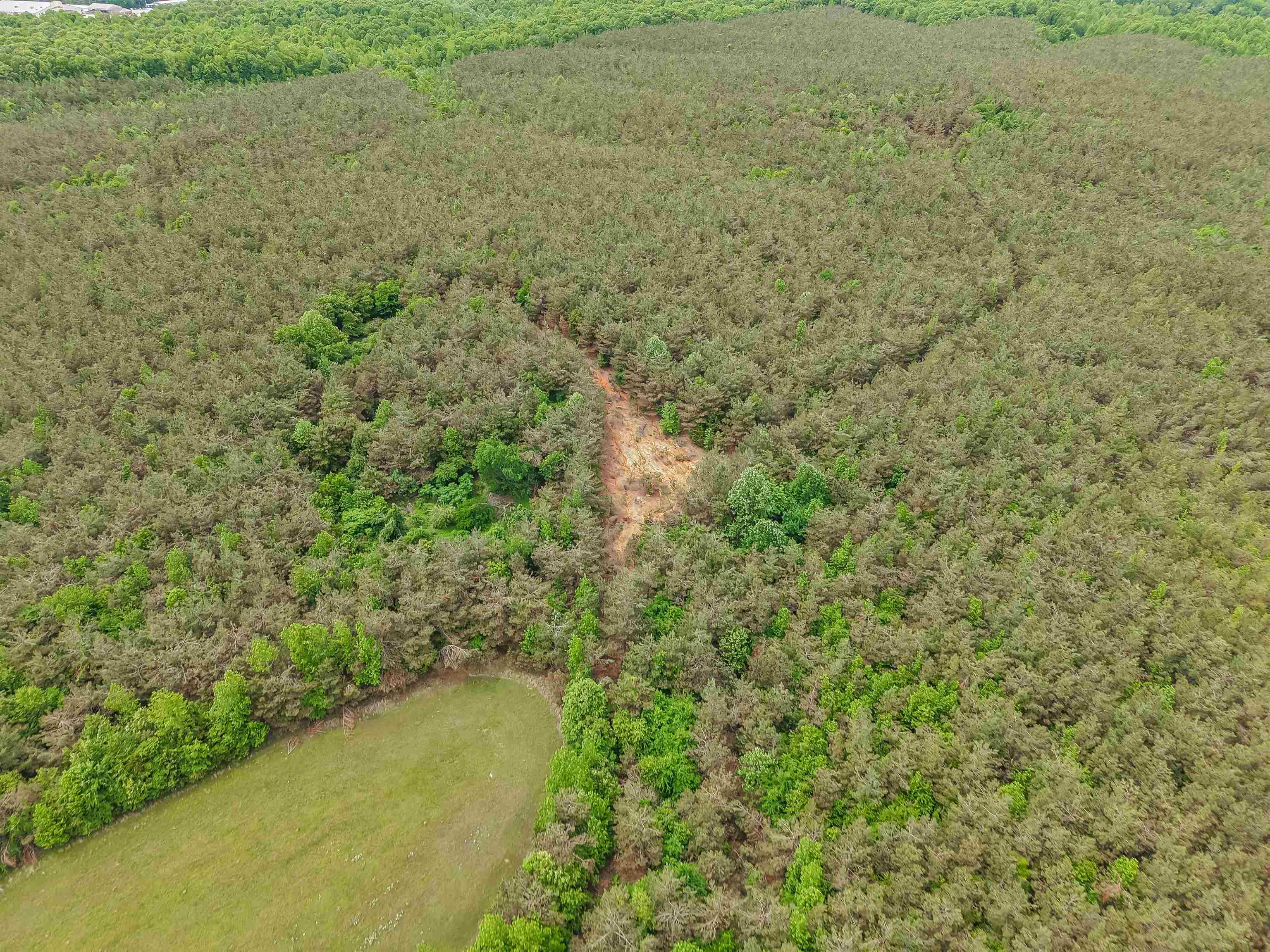 Connie Smith Rd Property Photo 7