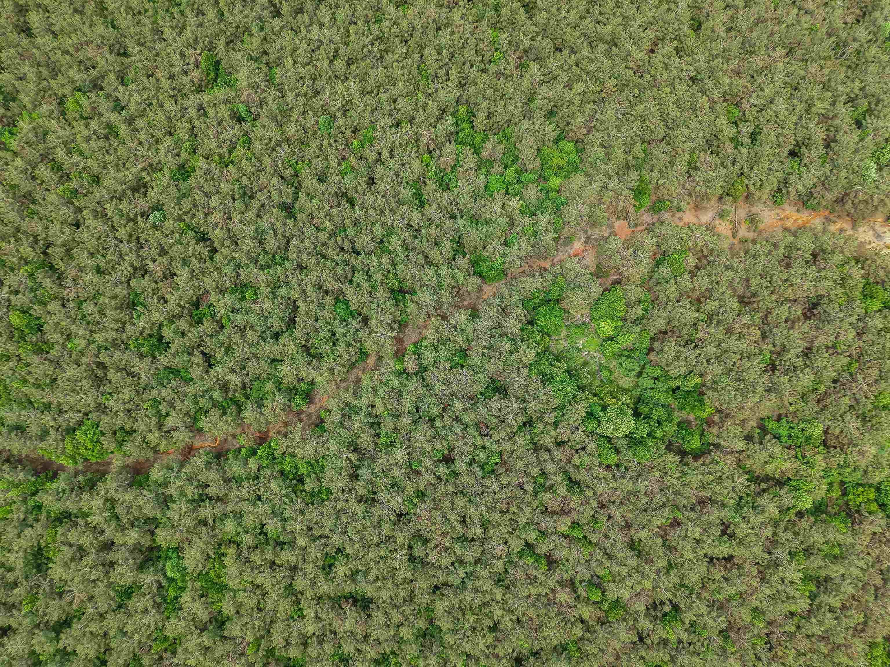 Connie Smith Rd Property Photo 8