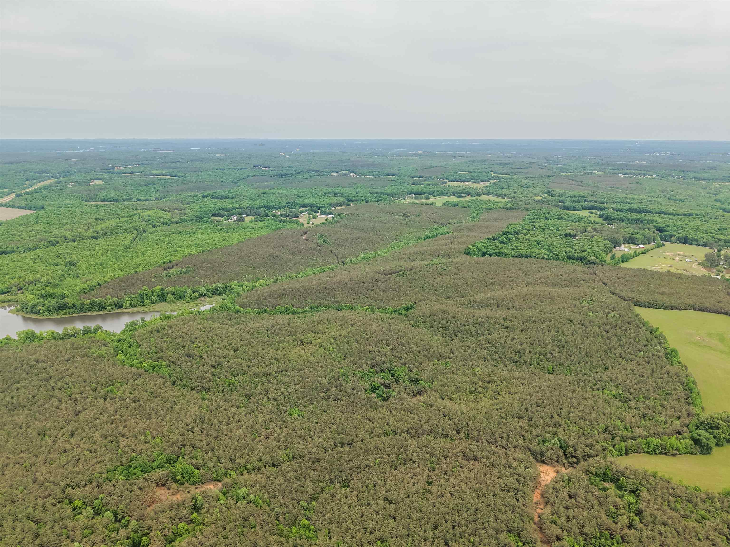 Connie Smith Rd Property Photo 10