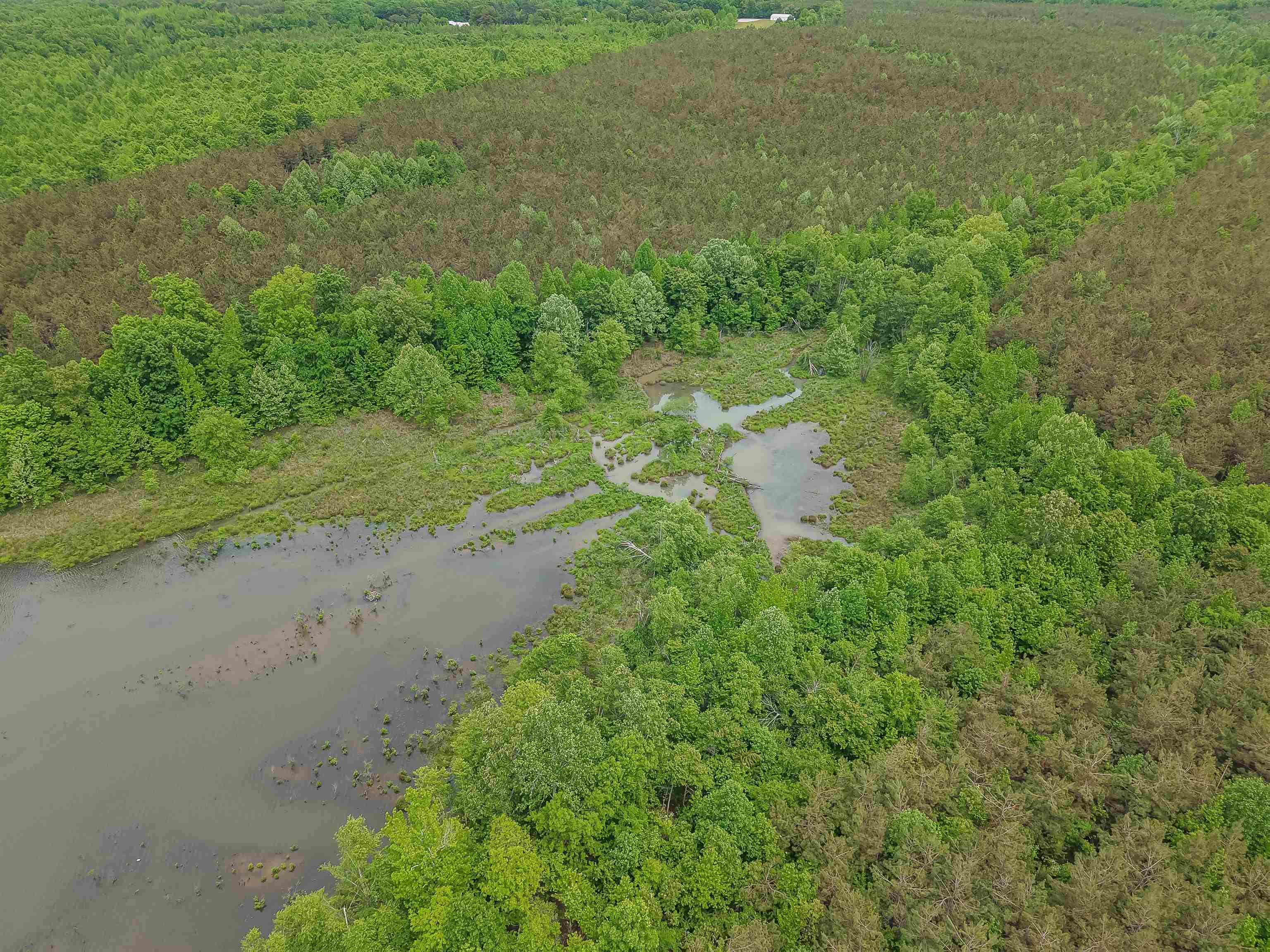 Connie Smith Rd Property Photo 12