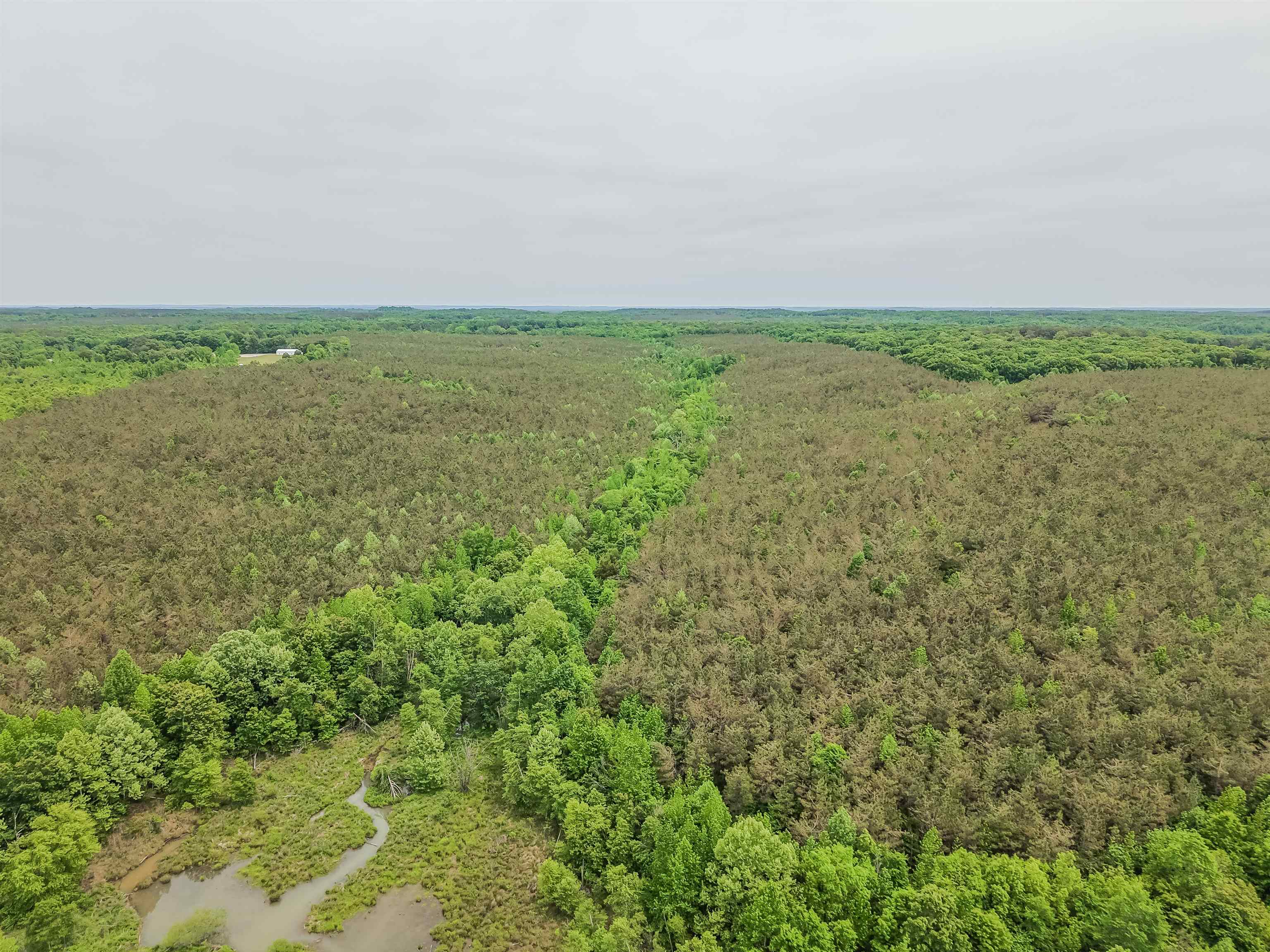 Connie Smith Rd Property Photo 13