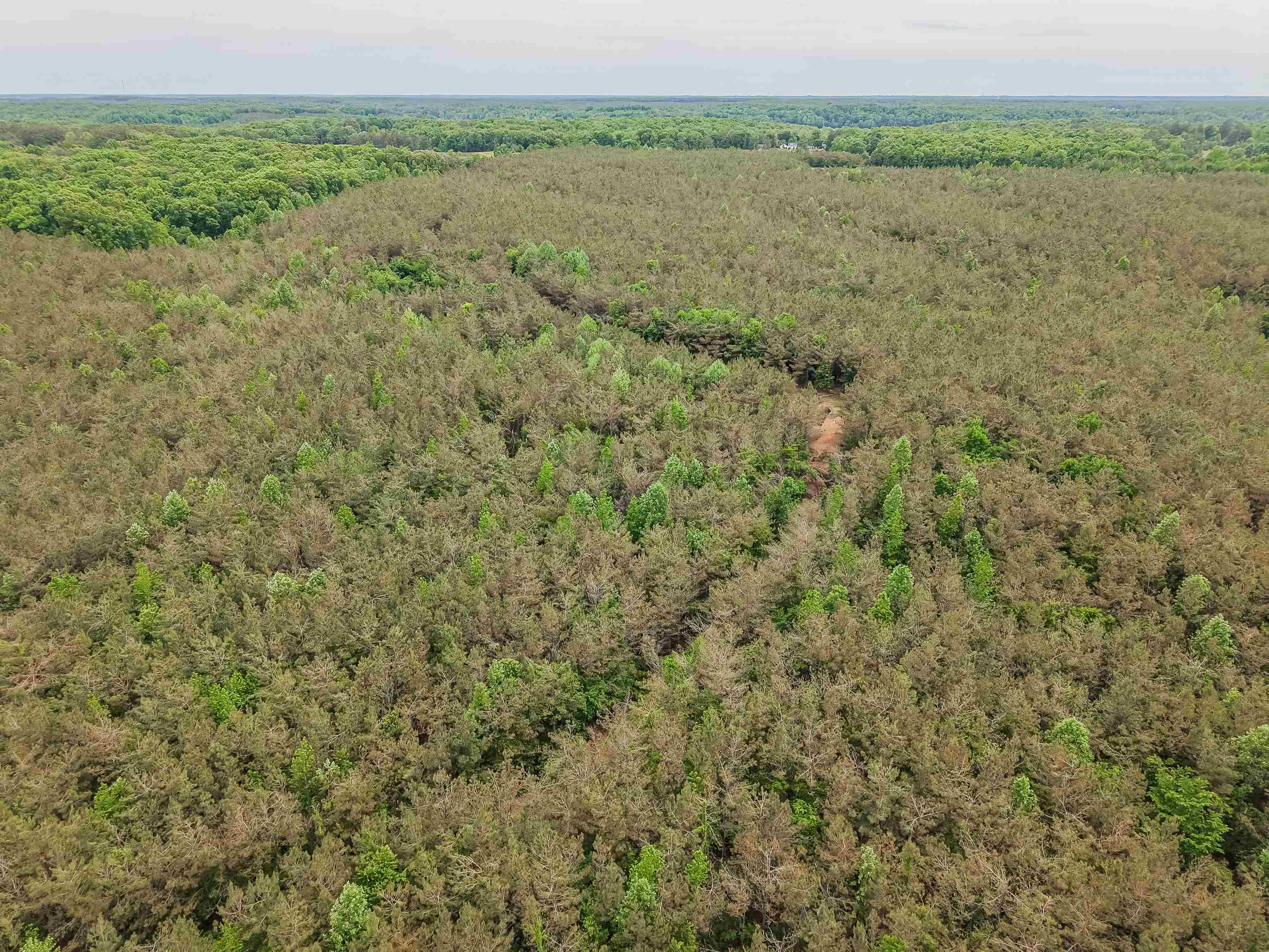 Connie Smith Rd Property Photo 14