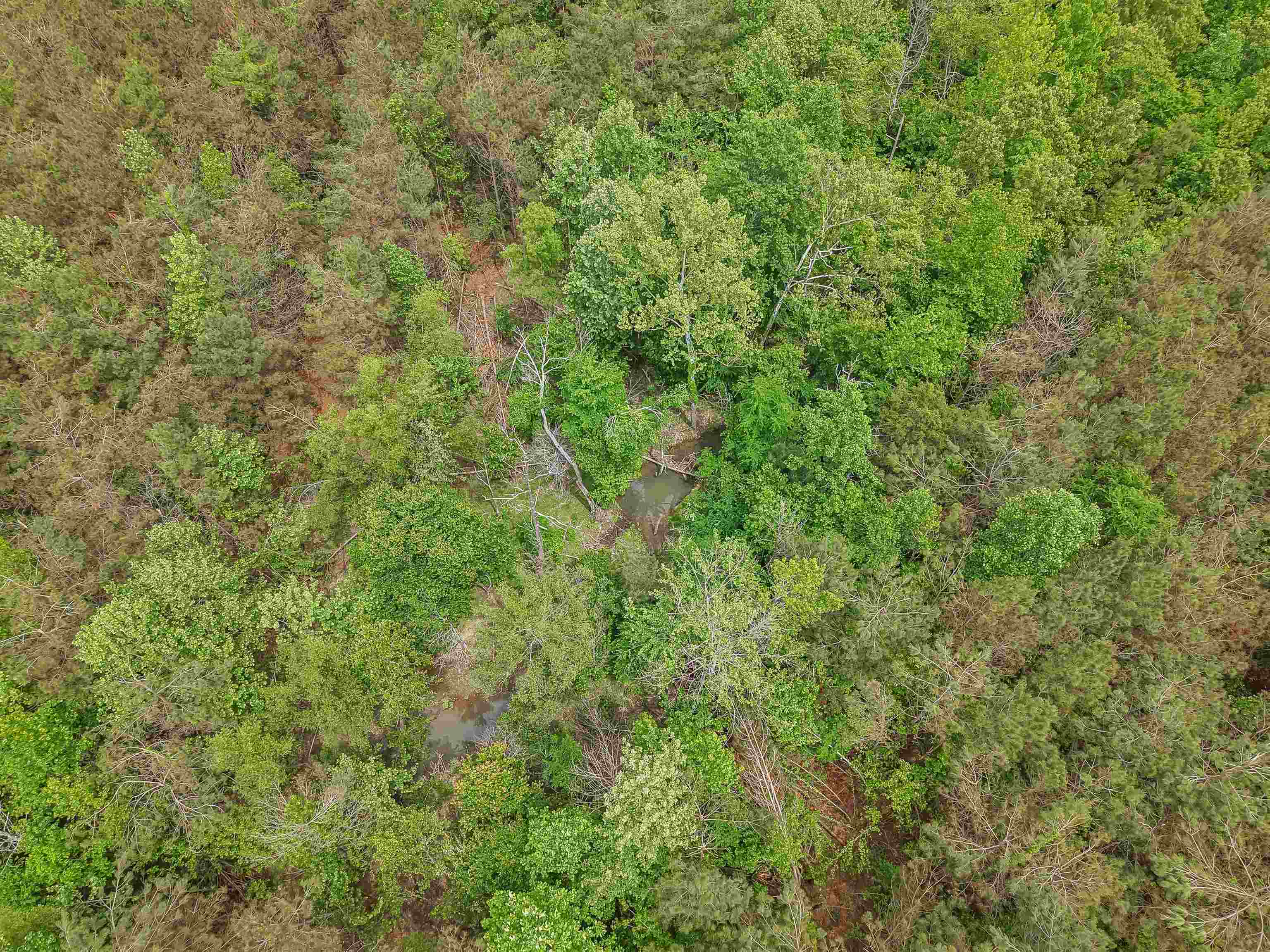 Connie Smith Rd Property Photo 15