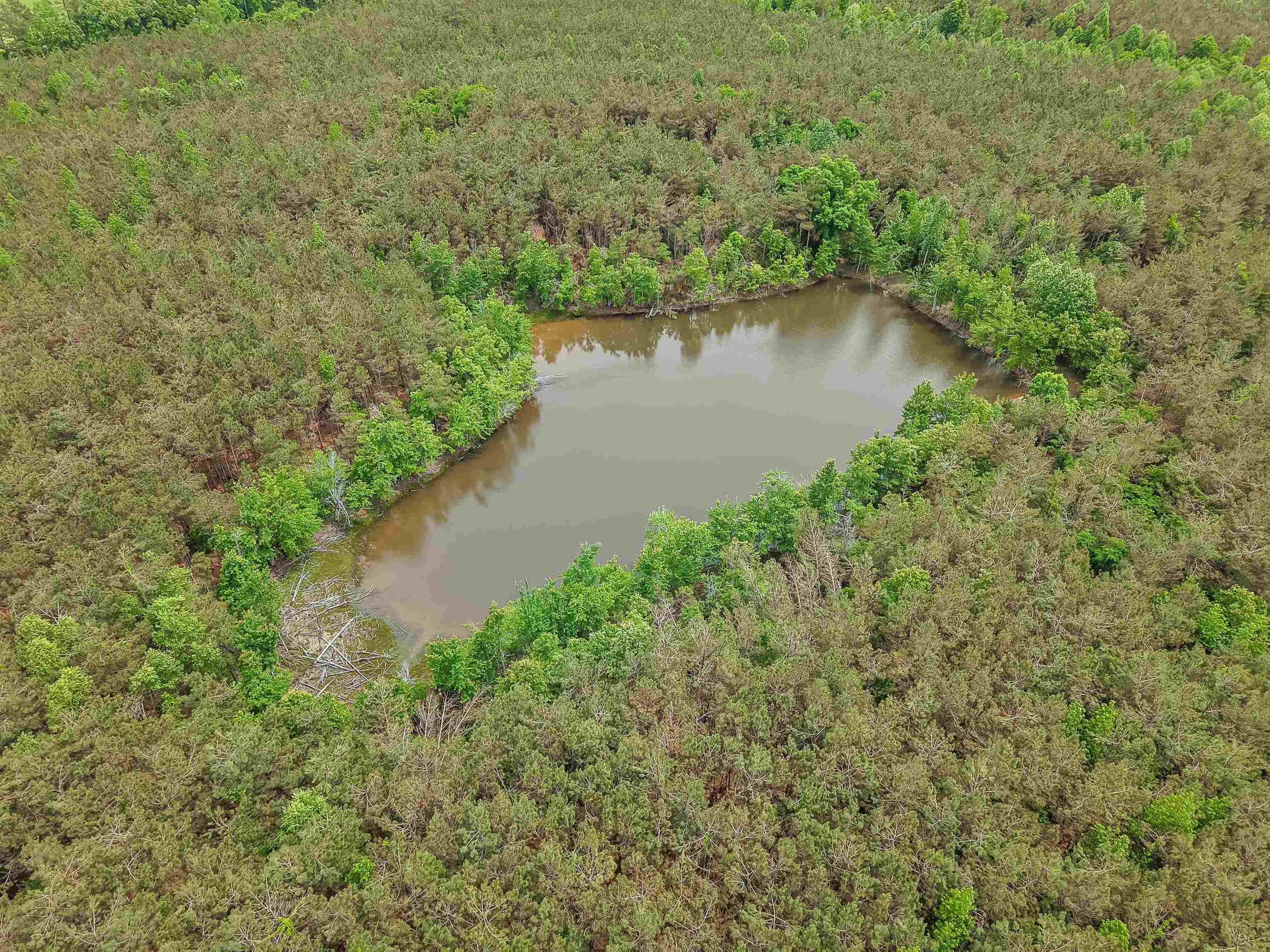 Connie Smith Rd Property Photo 17