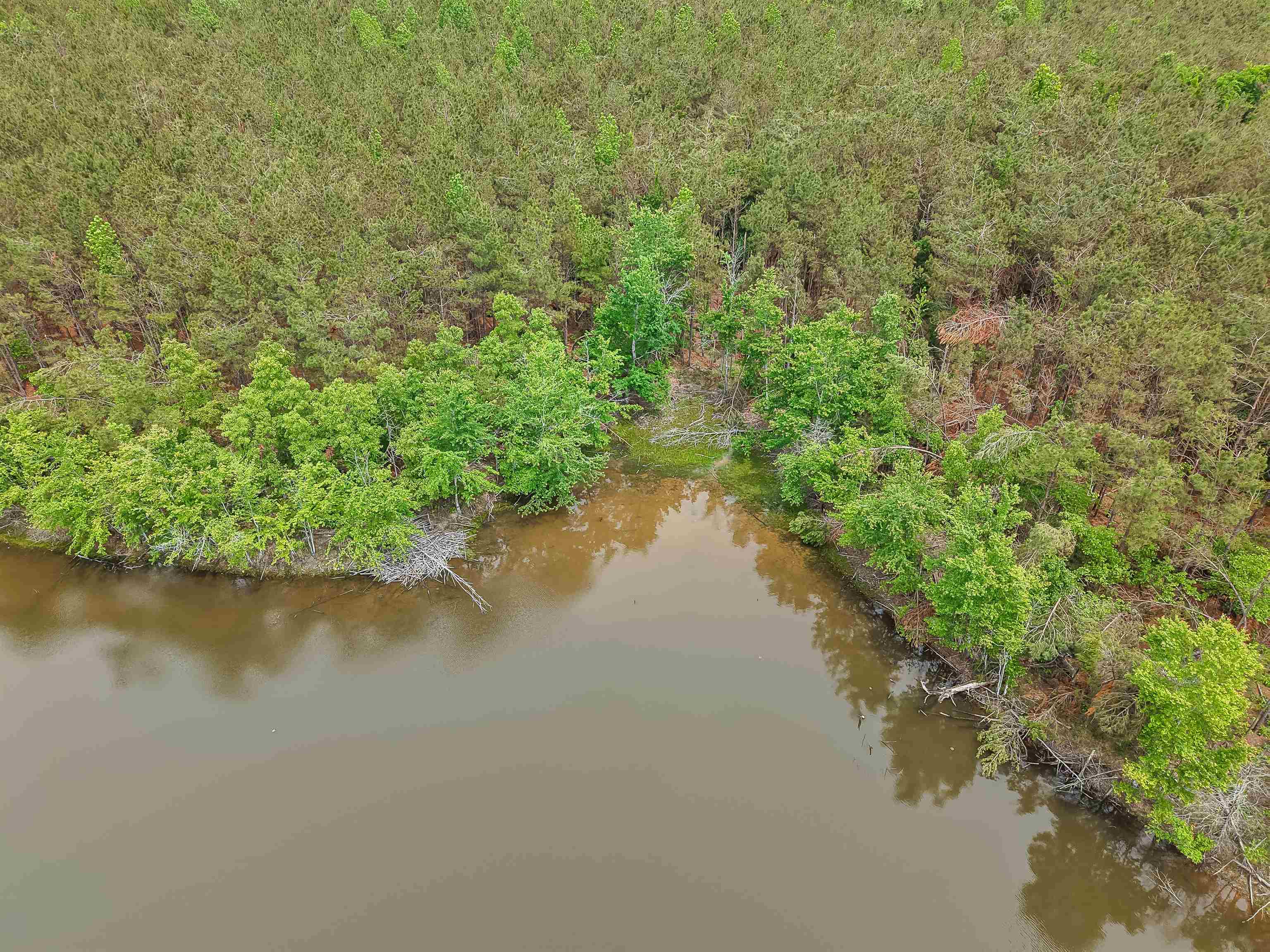 Connie Smith Rd Property Photo 18