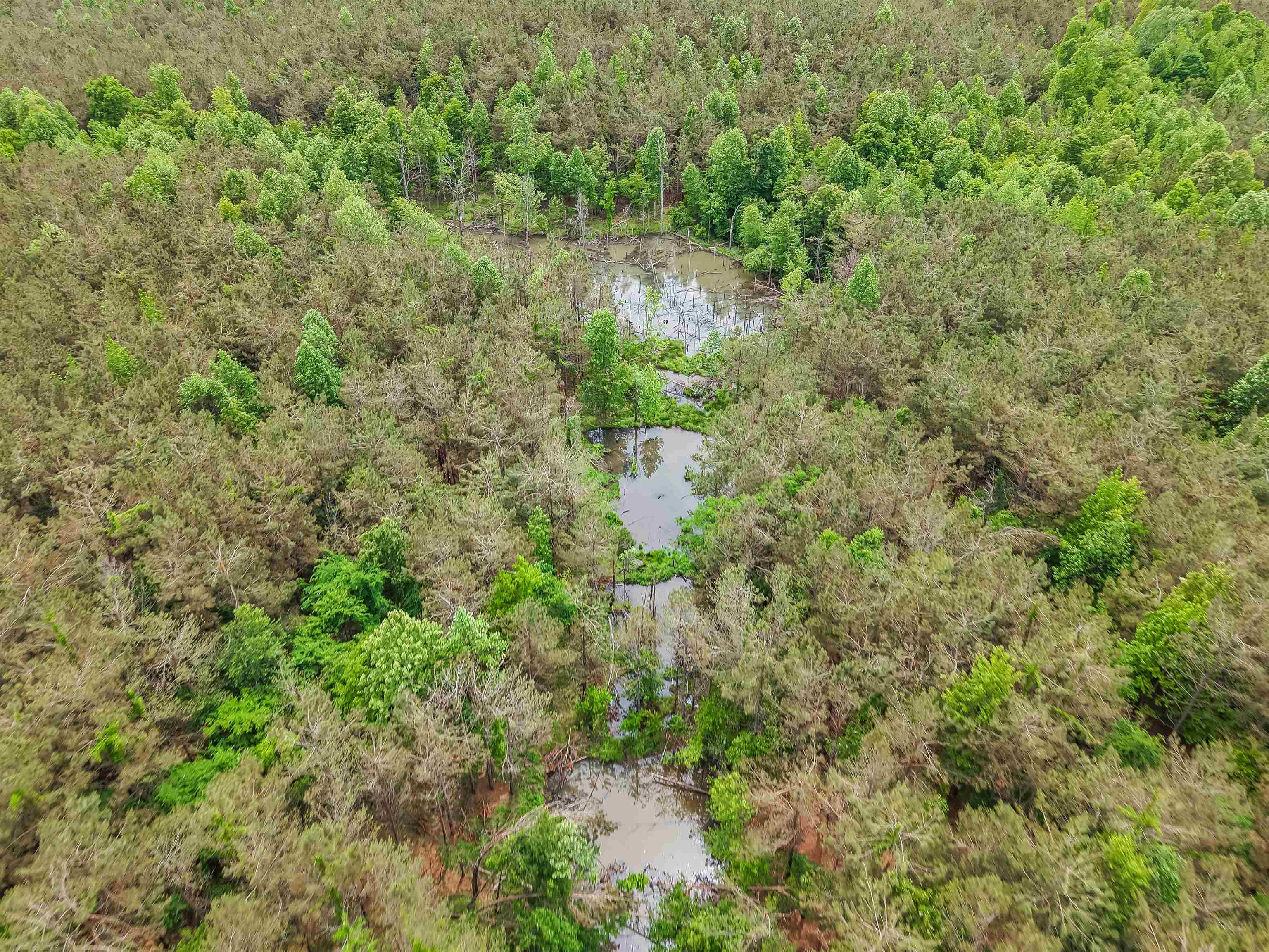 Connie Smith Rd Property Photo 20