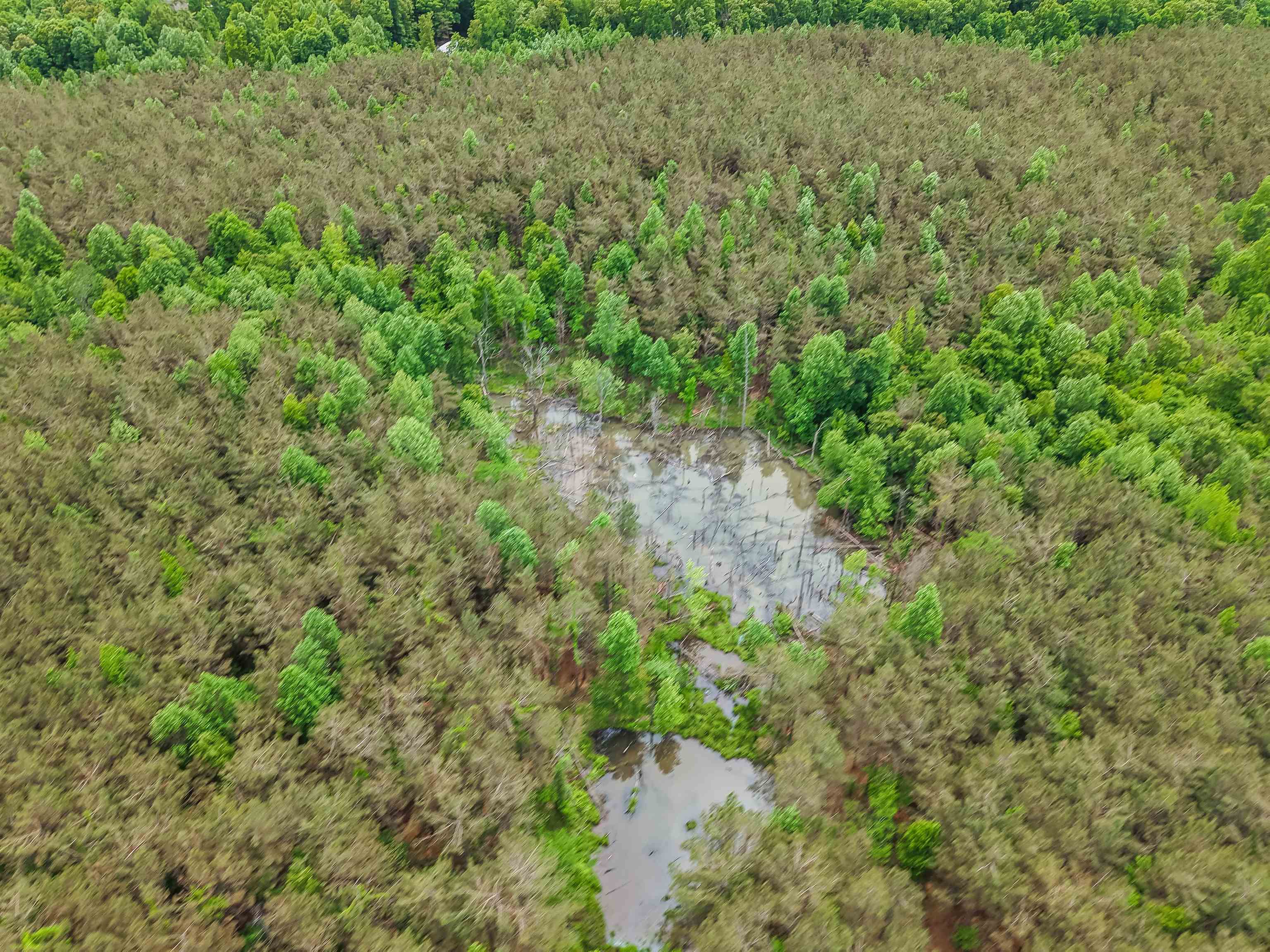 Connie Smith Rd Property Photo 21