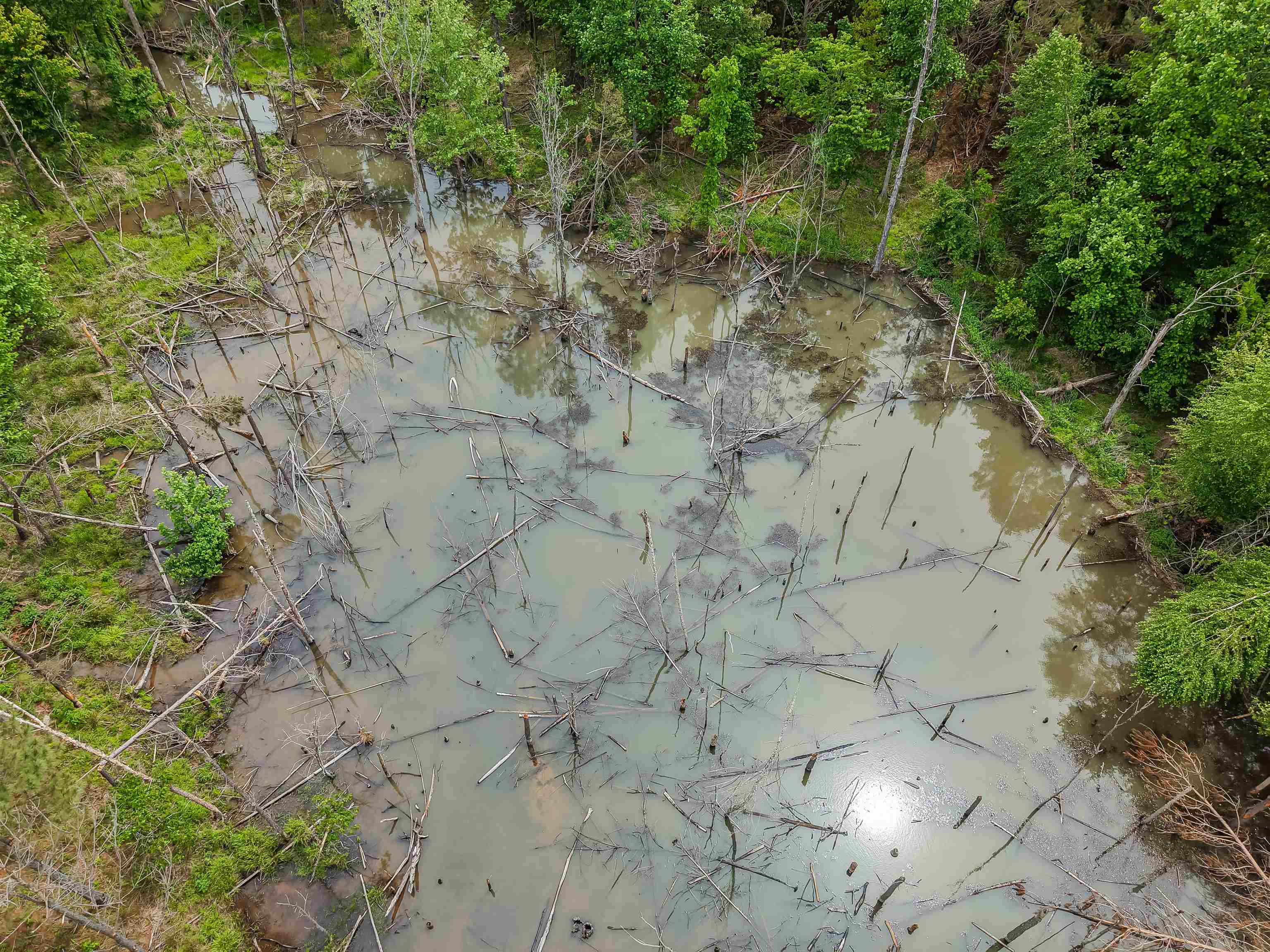 Connie Smith Rd Property Photo 22